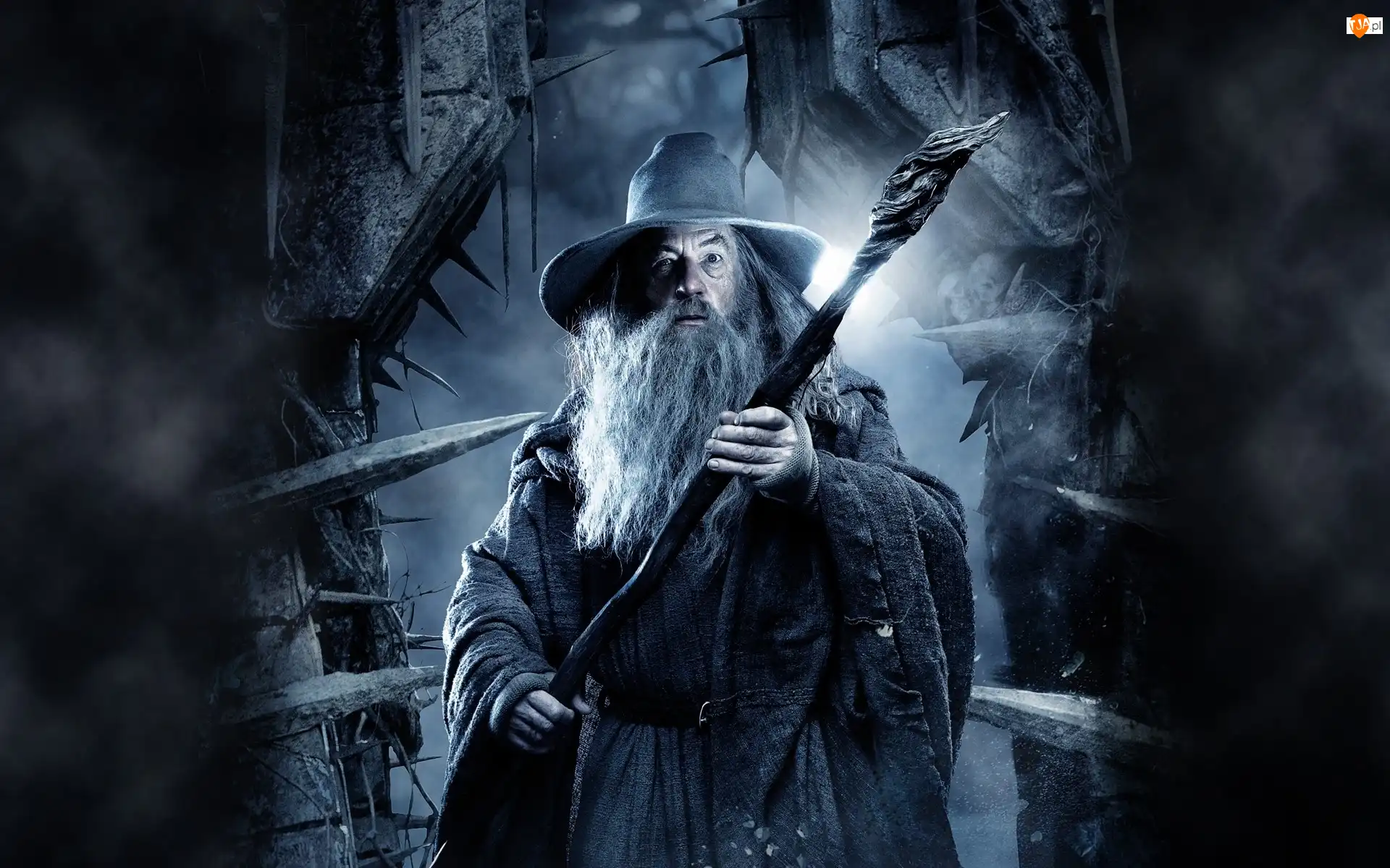 Ian McKellen, Hobbit, Pustkowie Smauga, Gandalf