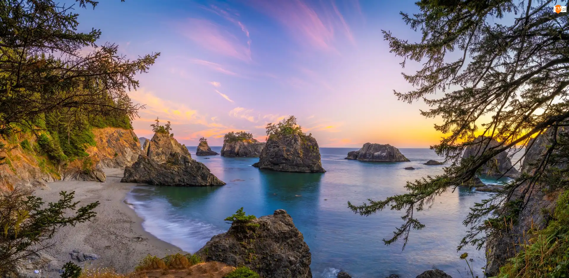 Samuel H Boardman State Scenic Corridor, Skały, Wybrzeże, Oregon, Morze, Park stanowy, Stany Zjednoczone, Drzewa