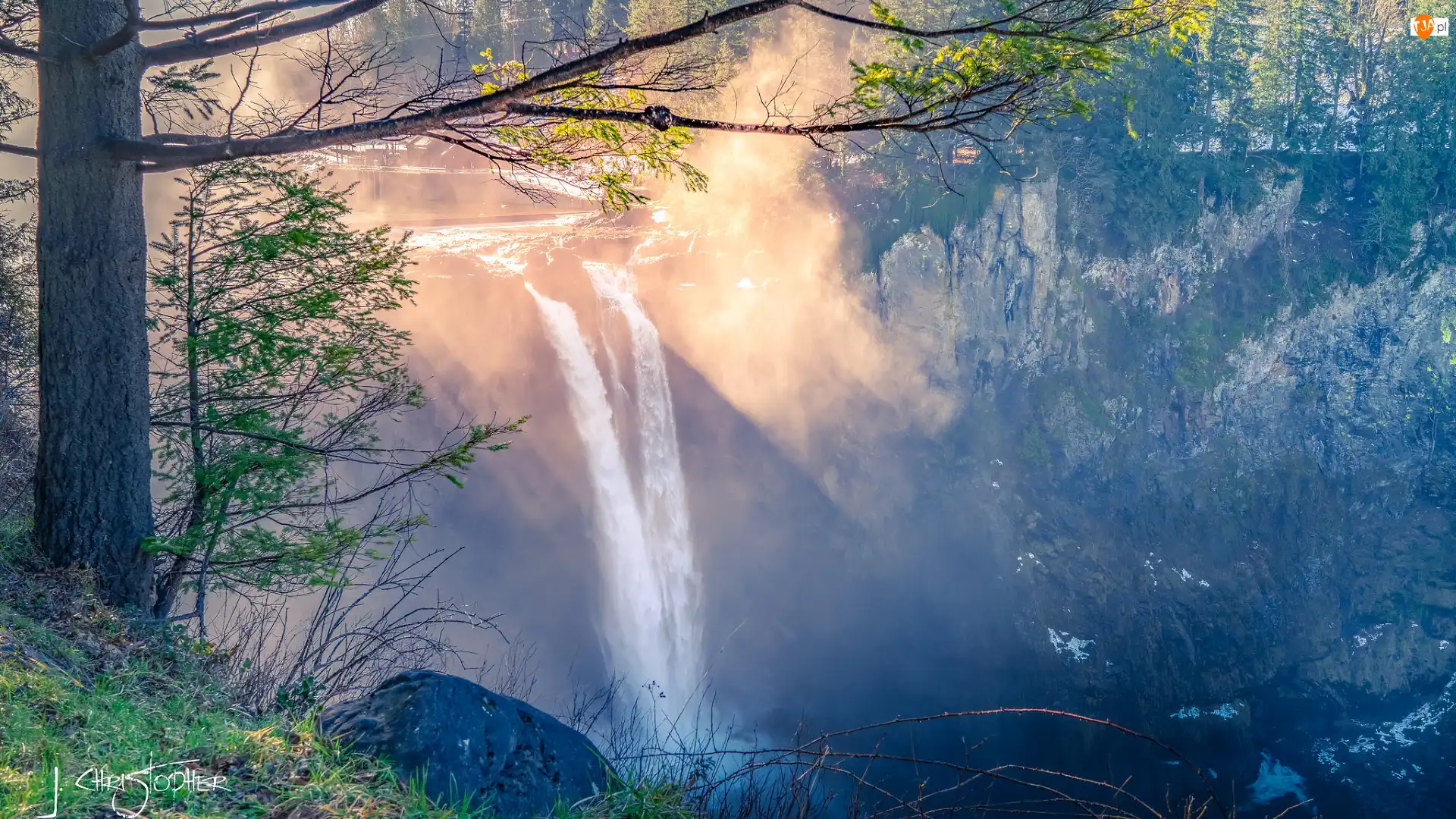 Skały, Wodospad Snoqualmie Falls, Hrabstwo King, Stany Zjednoczone, Drzewa, Stan Waszyngton