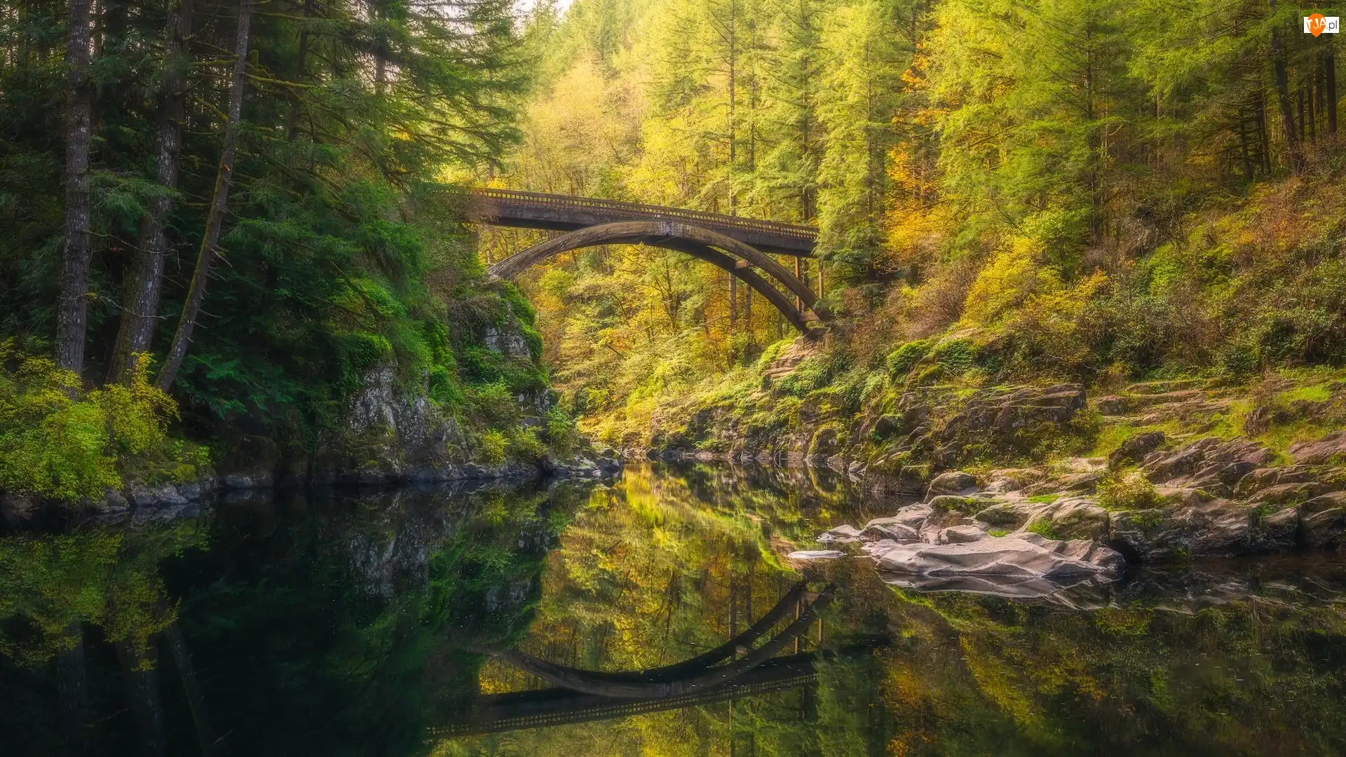 Skały, Las, Most, Stan Waszyngton, Rzeka, Moulton Falls Bridge, Stany Zjednoczone, Lewis River