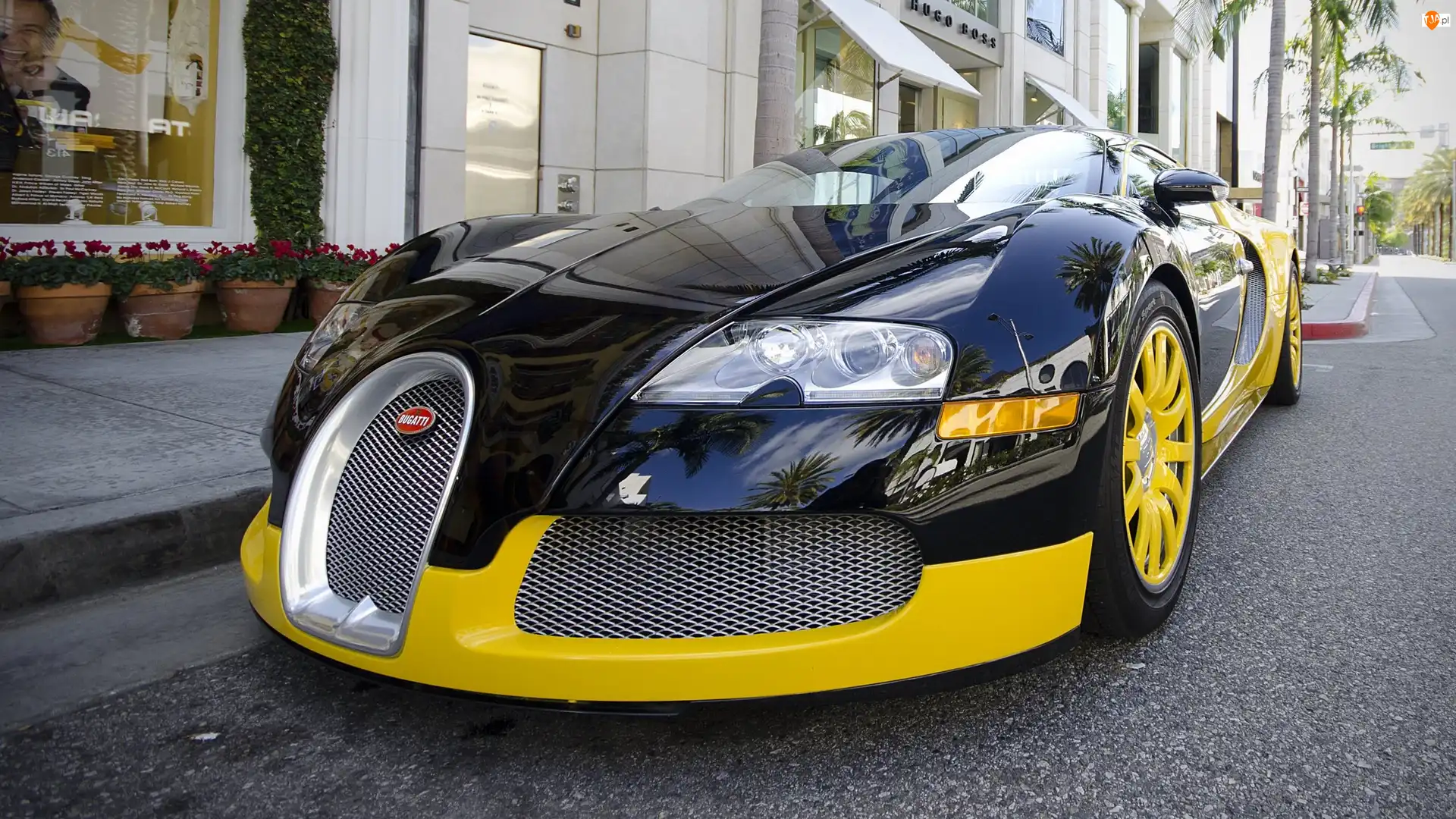 Ulica, Bugatti, Veyron