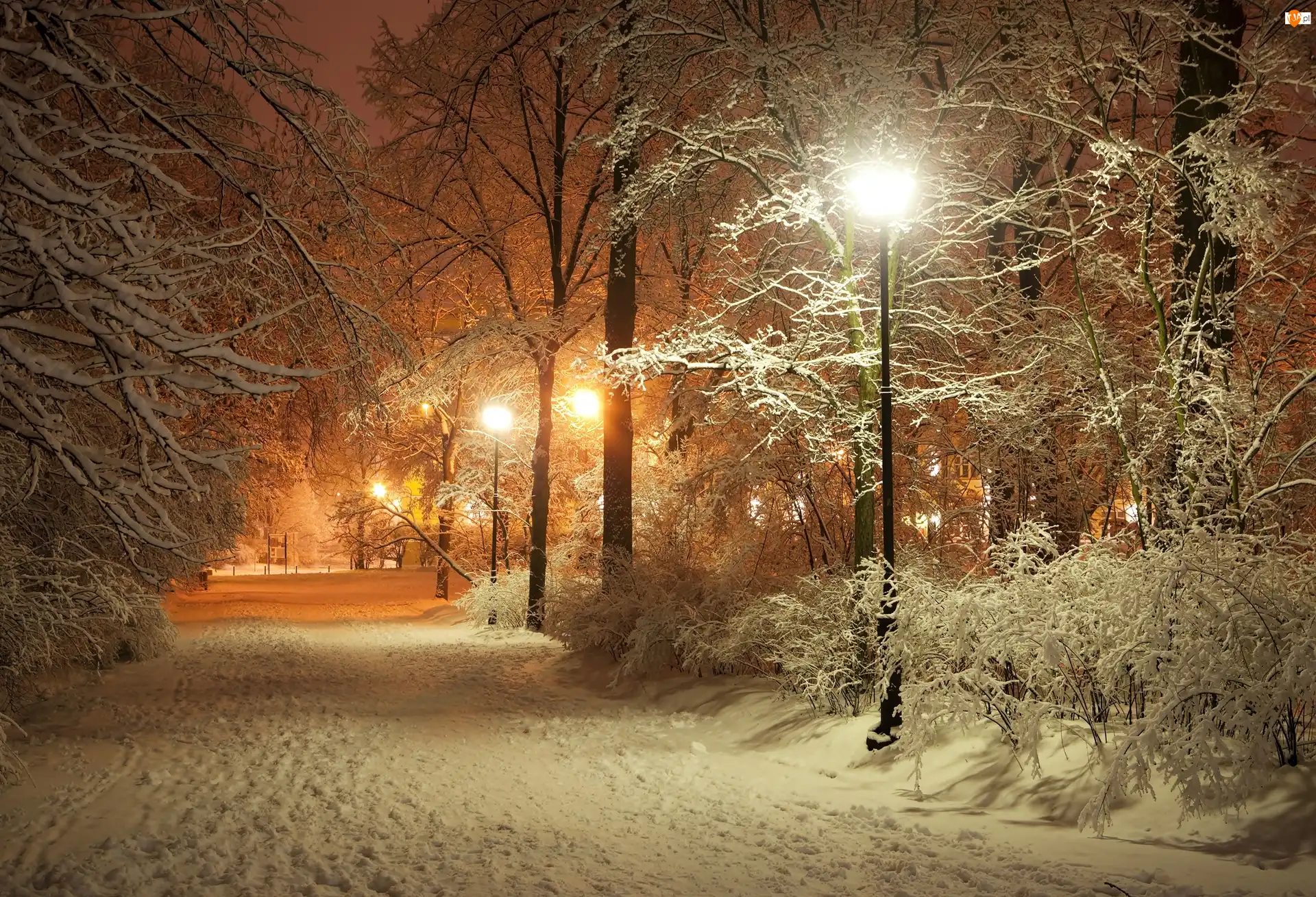 Latarnia, Zima, Park