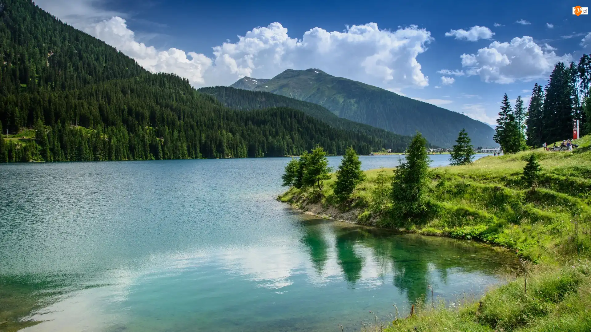 Trawa, Chmury, Las, Davos Lake, Kanton Gryzonia, Szwajcaria, Alpy, Góry, Jezioro, Drzewa