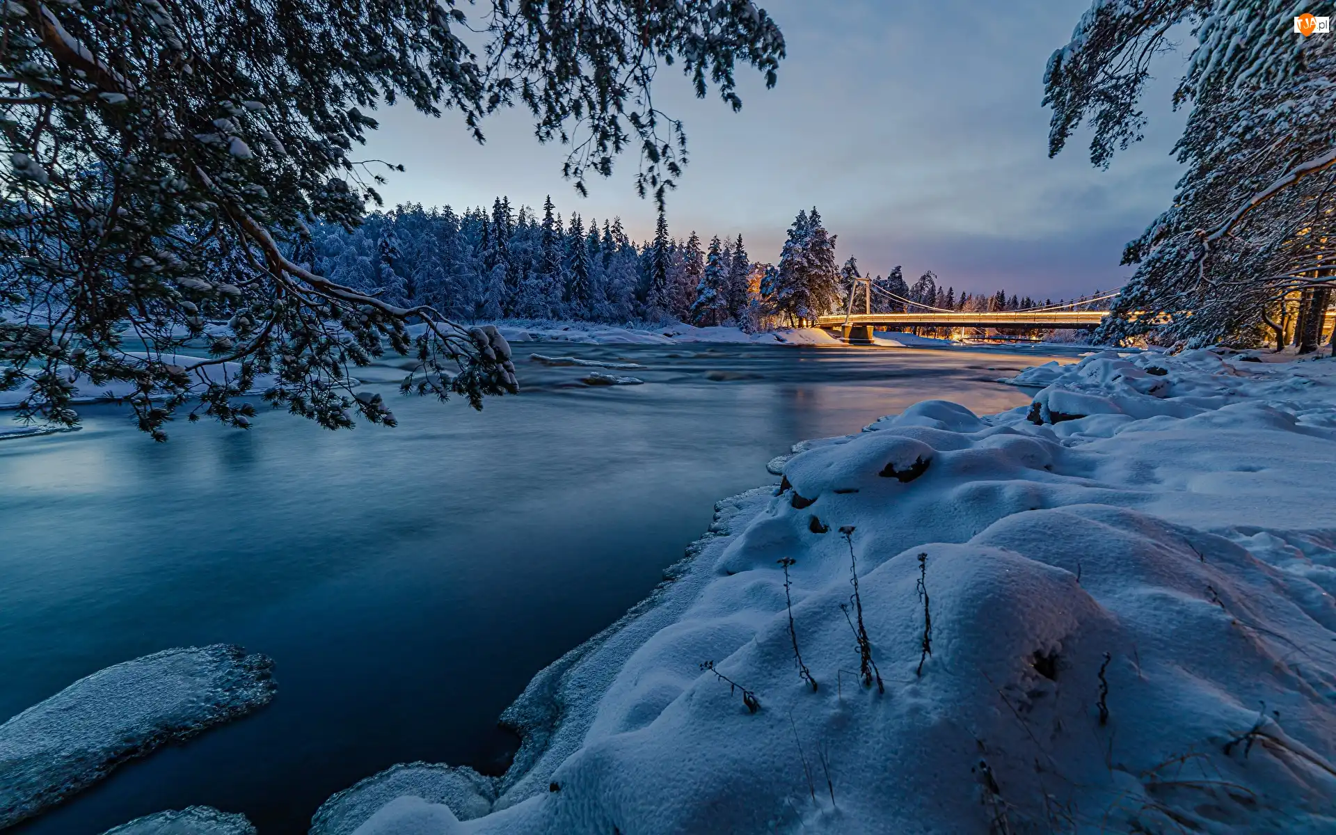 Las, Zima, Most, Oulu, Śnieg, Rzeka Oulujoki, Finlandia, Drzewa