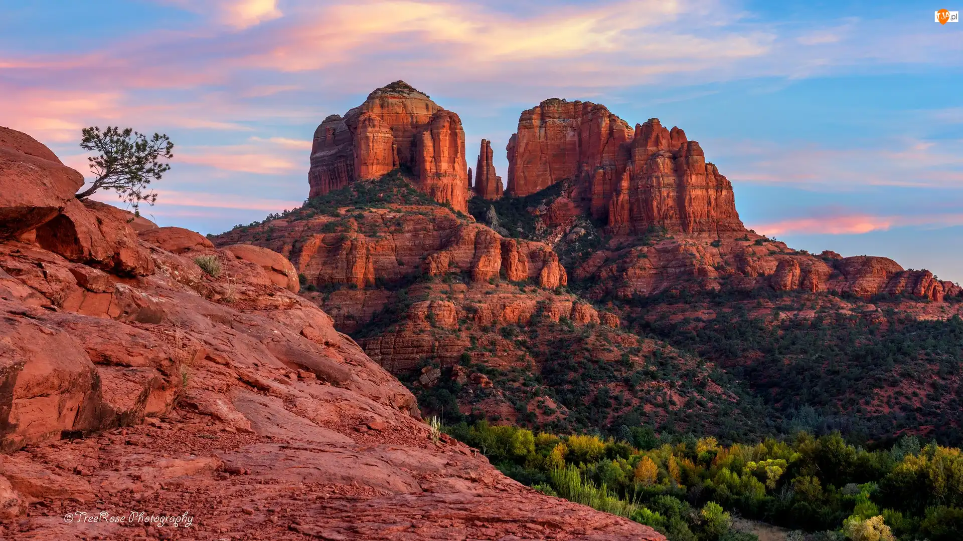 Arizona, Stany Zjednoczone, Skały, Drzewa, Sedona, Czerwone