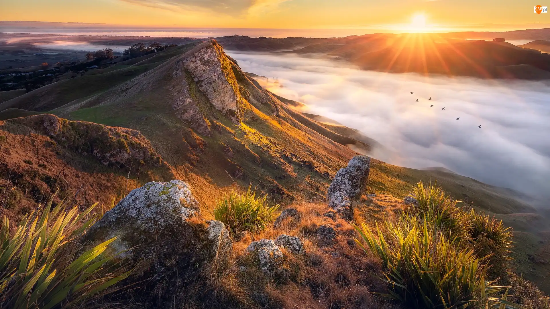 Wschód słońca, Nowa Zelandia, Góry Te Mata Peak, Dolina, Region Hawkes Bay, Wzgórza, Mgła, Rzeka Tukituki River