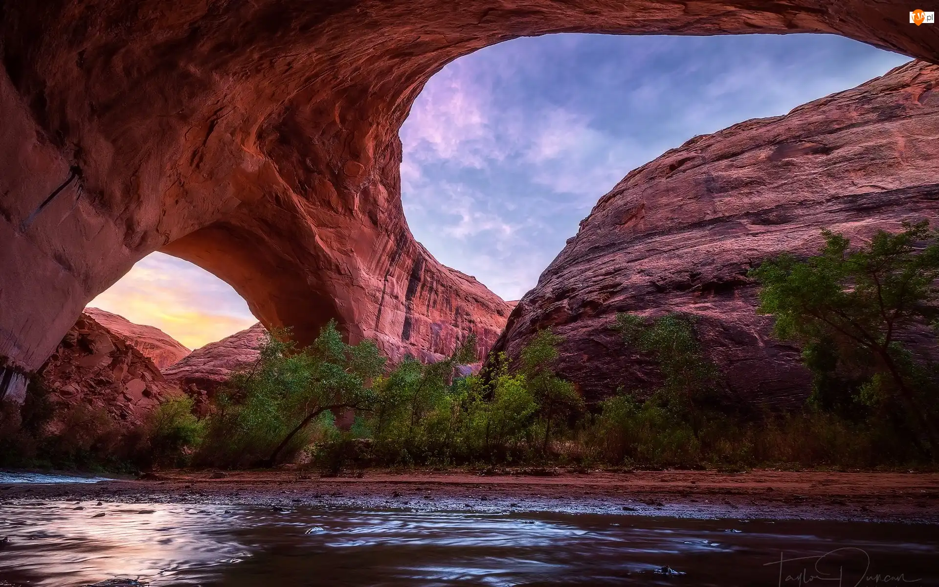 Łuk Jacoba Hamblina, Skały, Rzeka Coyote Gulch, Stany Zjednoczone, Drzewa, Utah