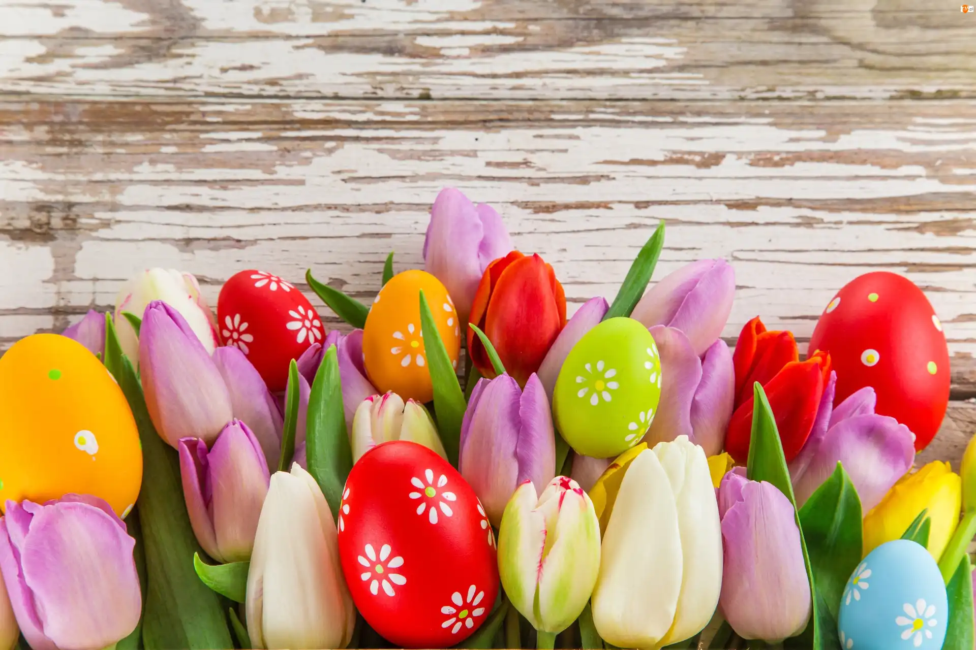 Tulipany, Kompozycja, Wielkanoc, Pisanki