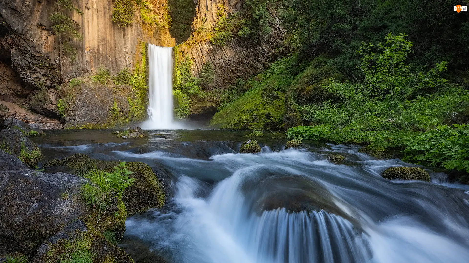 Drzewa, Wodospad, North Umpqua River, Stan Oregon, Toketee Falls, Skały, Stany Zjednoczone, Rzeka