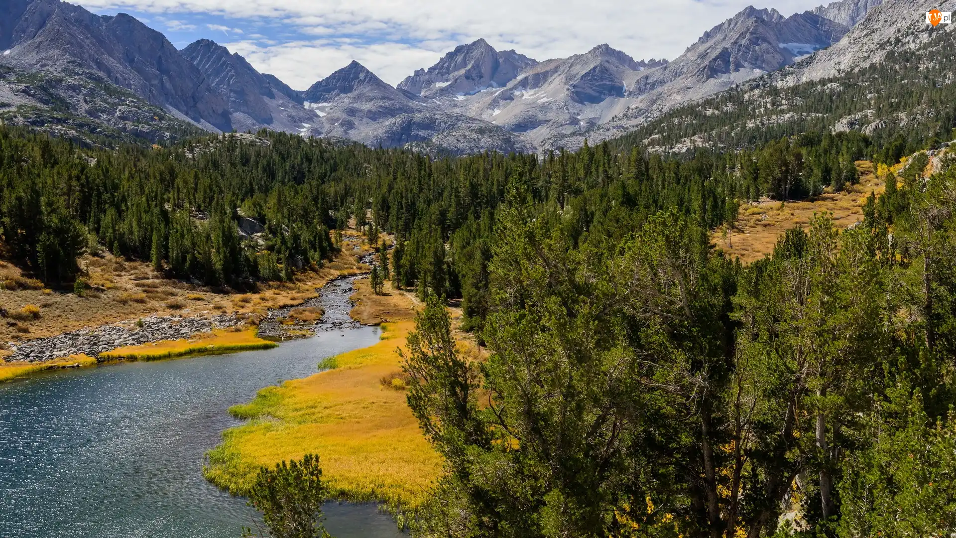 Stany Zjednoczone, Sierra Nevada, Stan Kalifornia, Lasy, Eastern Sierra, Rzeka, Rock Creek, Góry, Drzewa
