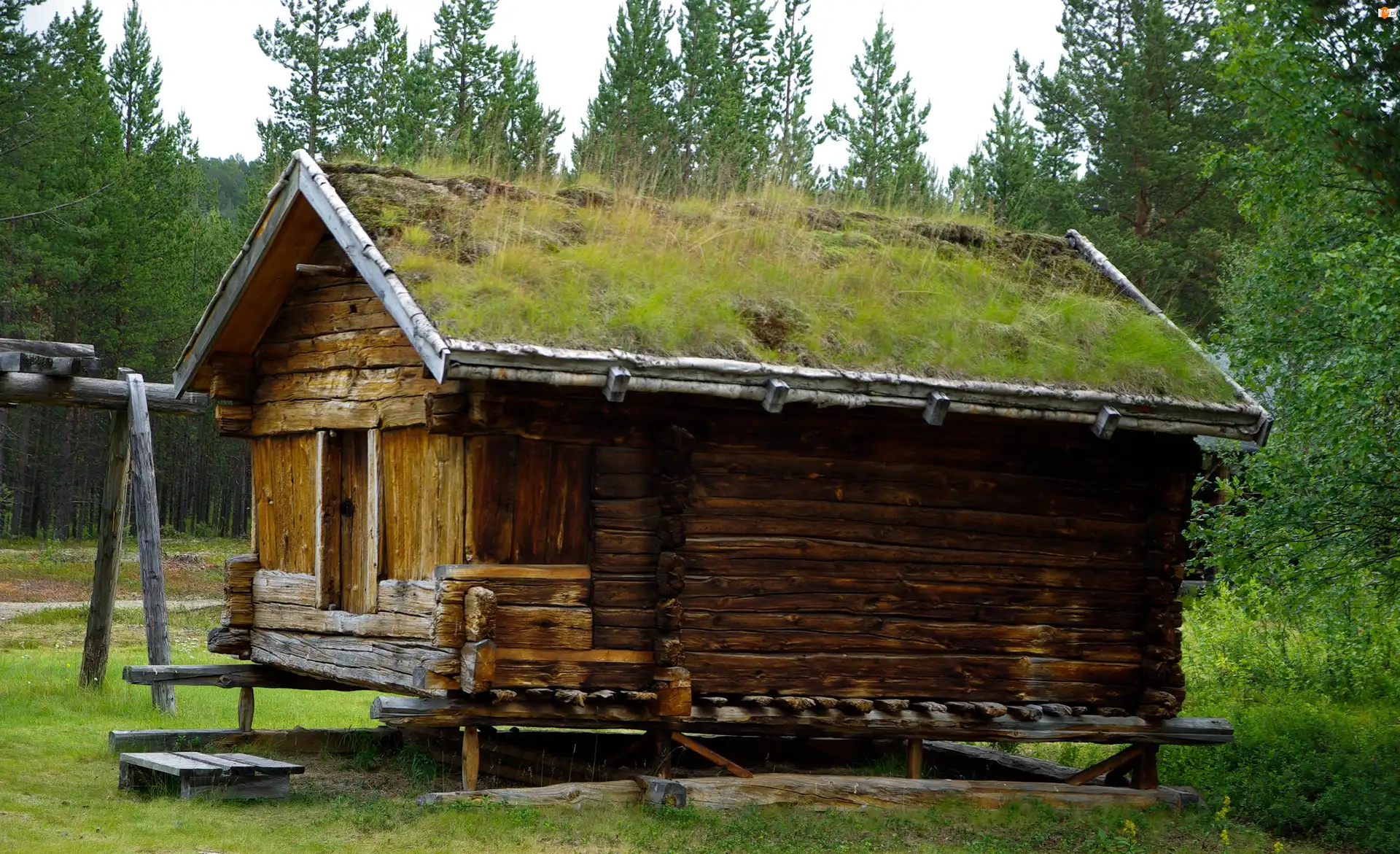 Dom, Trawa, Drewniany, Finlandia, Dach