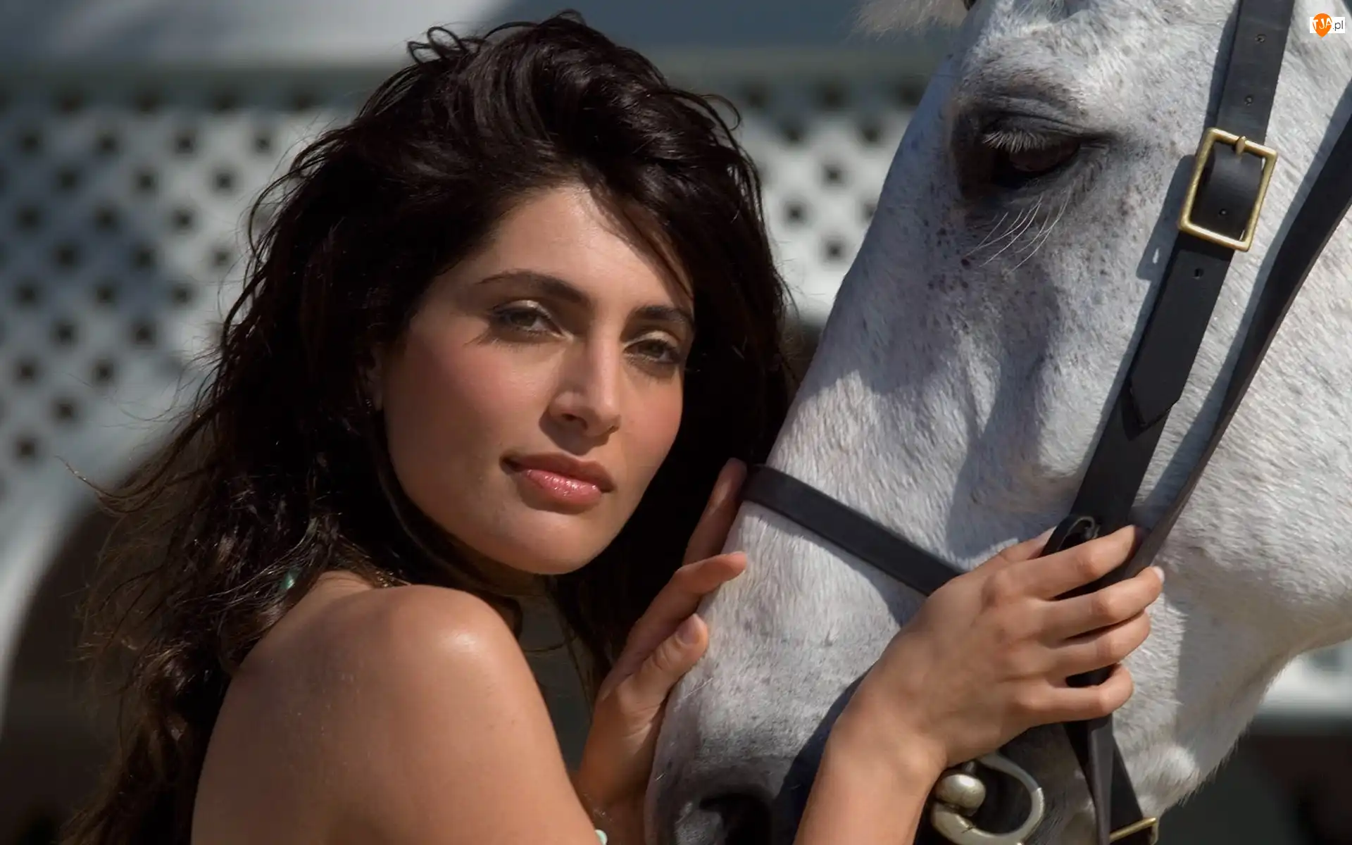 Konia, Caterina Murino, Głowa