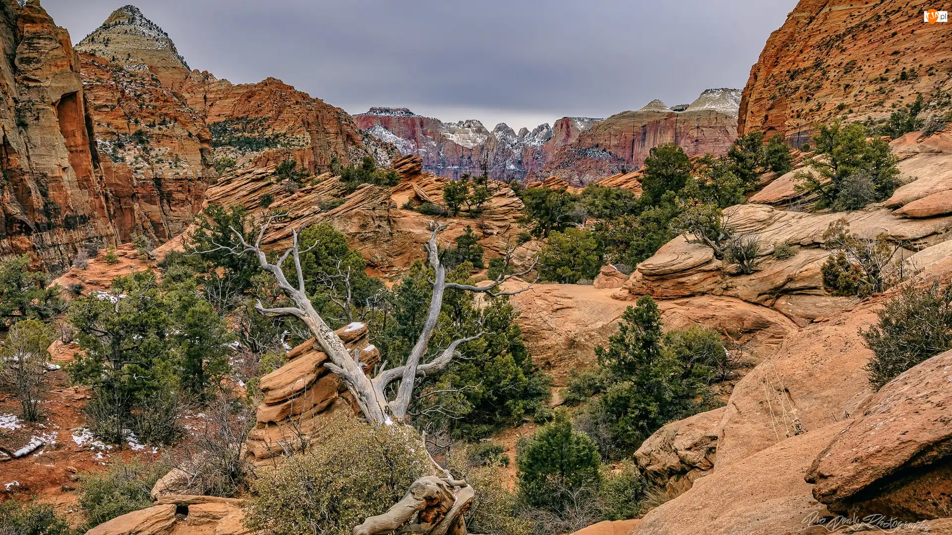 Park Narodowy Zion, Skały, Utah, Stany Zjednoczone, Góry