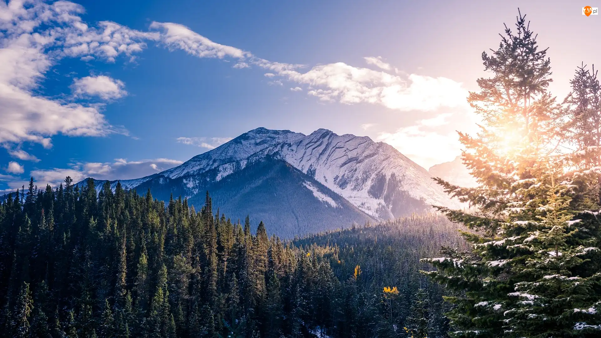 Prowincja Alberta, Park Narodowy Banff, Wschód słońca, Kanada, Drzewa, Las, Góry Skaliste