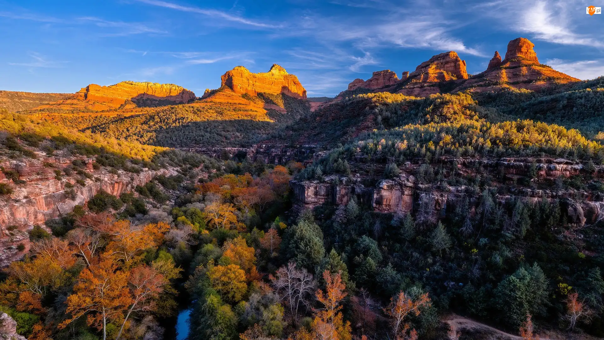 Stany Zjednoczone, Góry, Arizona, Kanion, Creek Canyon, Skały, Kolorowe, Jesień, Drzewa