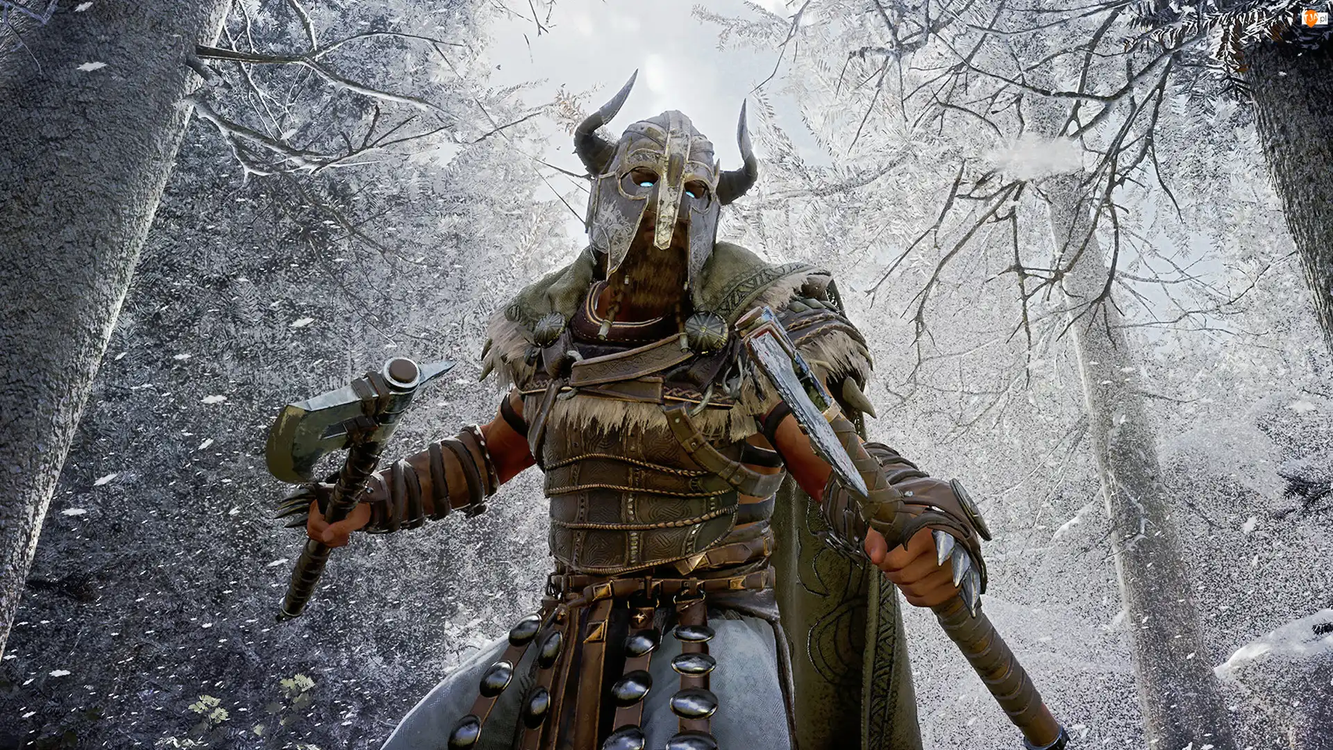 Mortal Online 2022, Gra, Wojownik, Topory, Postać, Chełm