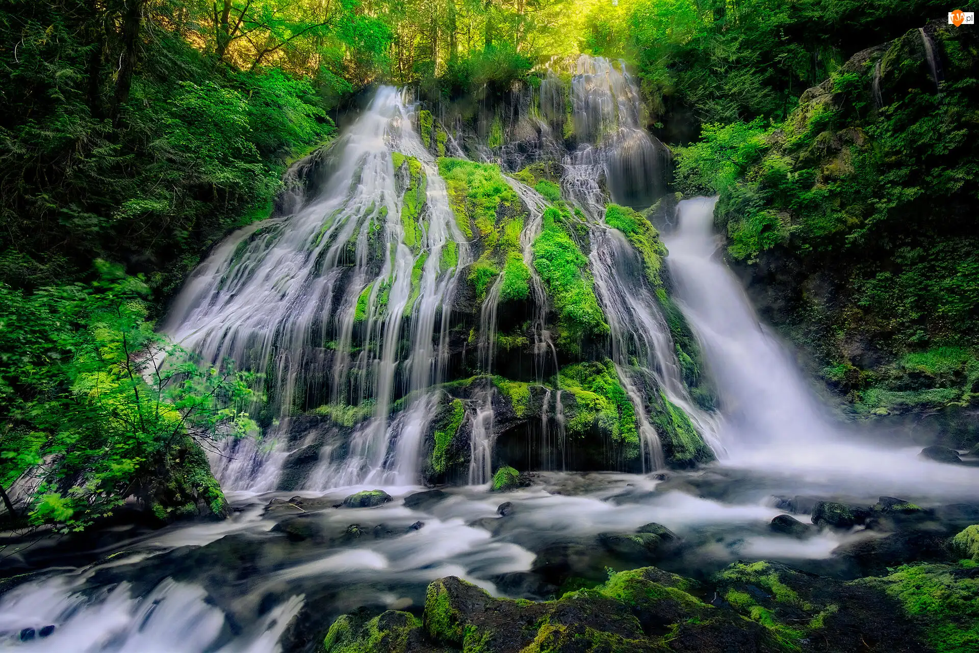 Stany Zjednoczone, Omszona, Stan Waszyngton, Miejsce chronione, Gifford Pinchot National Forest, Skała, Wodospad, Drzewa, Panther Creek Falls