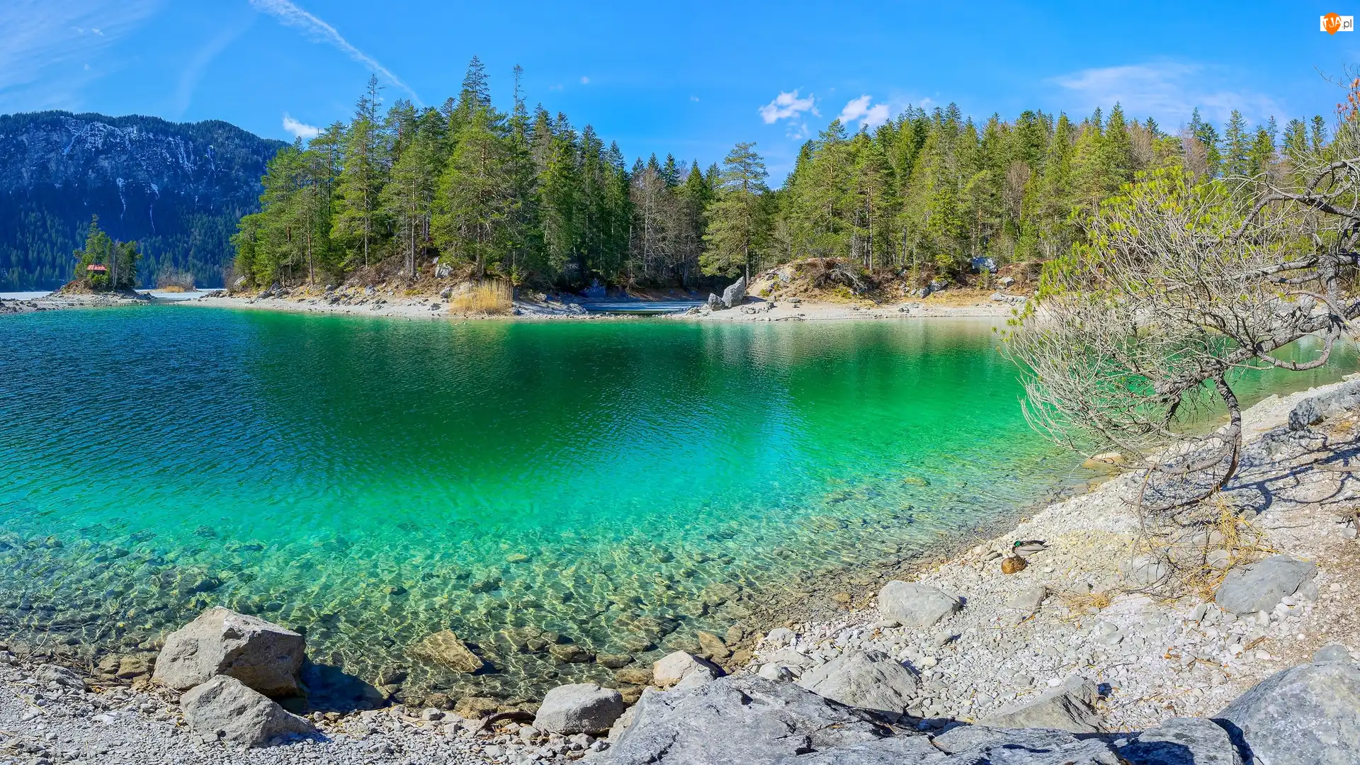 Jezioro Eibsee, Góry, Kamienie, Niemcy, Drzewa, Bawaria