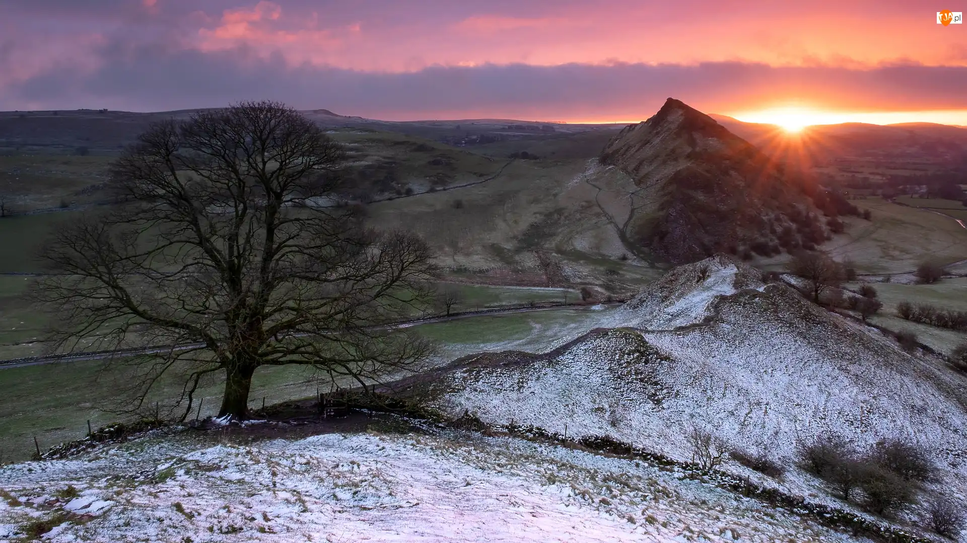 Drzewo, Ośnieżone, Anglia, Park Narodowy Peak District, Wschód słońca, Parkhouse Hill, Wzgórze