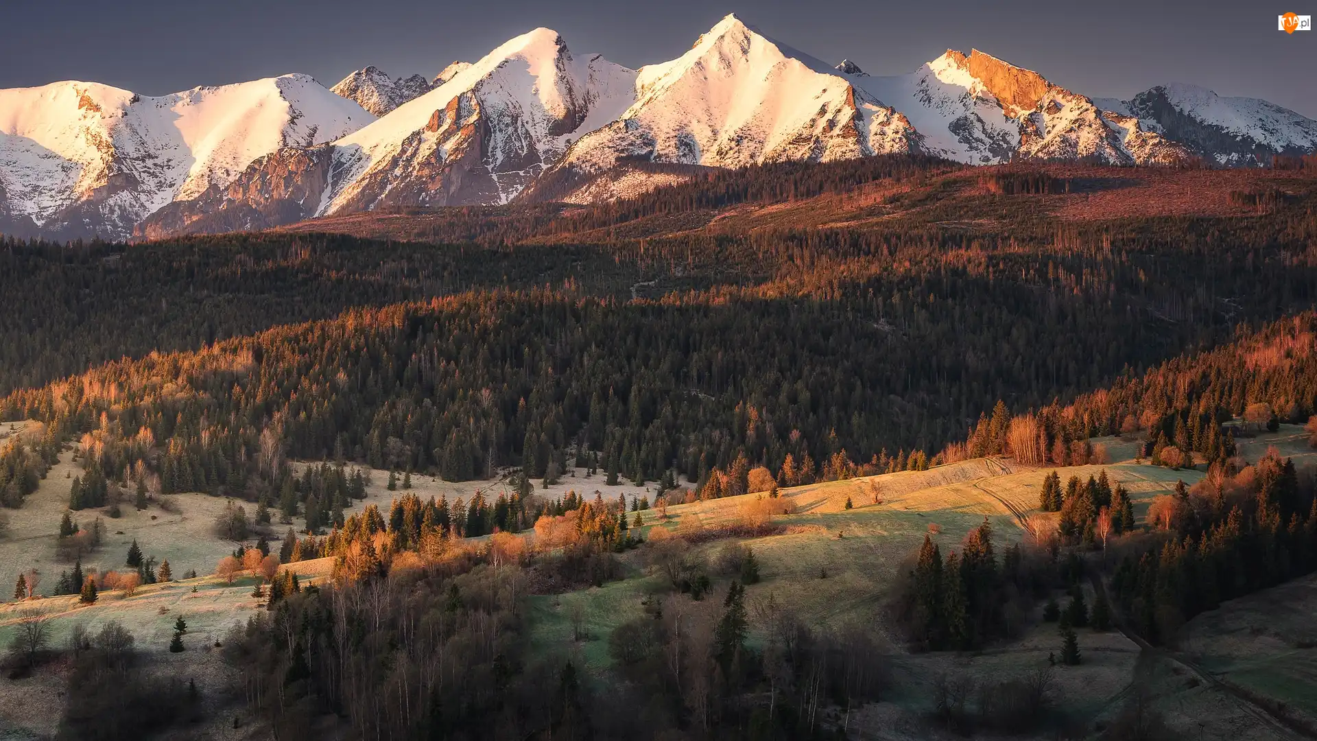 Tatry Bielskie, Drzewa, Góry, Słowacja, Wzgórza