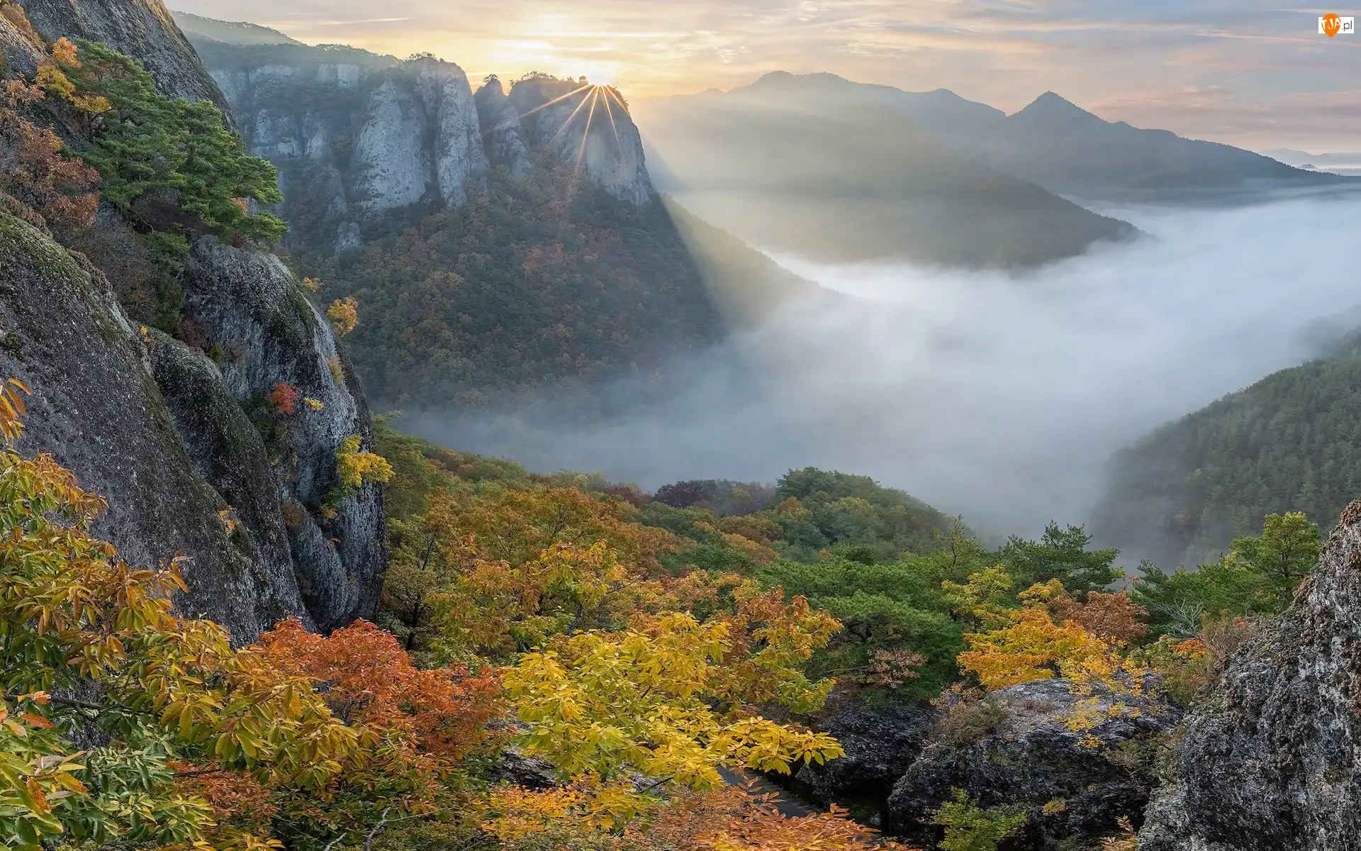 Roślinność, Korea Południowa, Jesień, Mgła, Park Narodowy Juwangsan, Drzewa, Promienie słońca, Góry