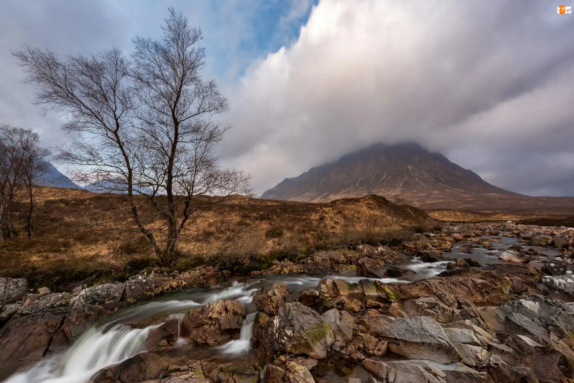 Drzewo, Region Highland, Skały Góry, Chmury, Potok, Grampiany, Pasmo Glencoe, Szkocja, Szczyt Buachaille Etive Mor