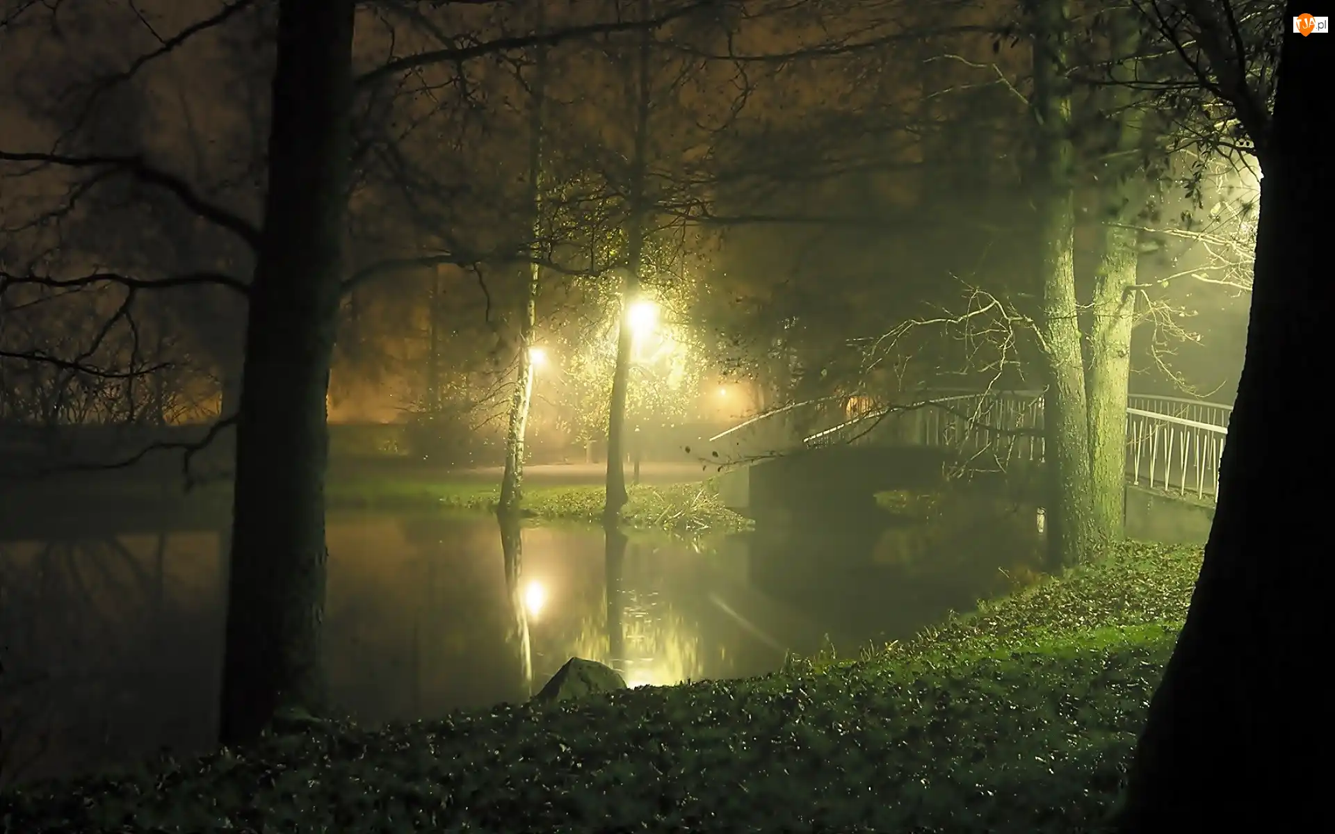 Most, Park, Mgła