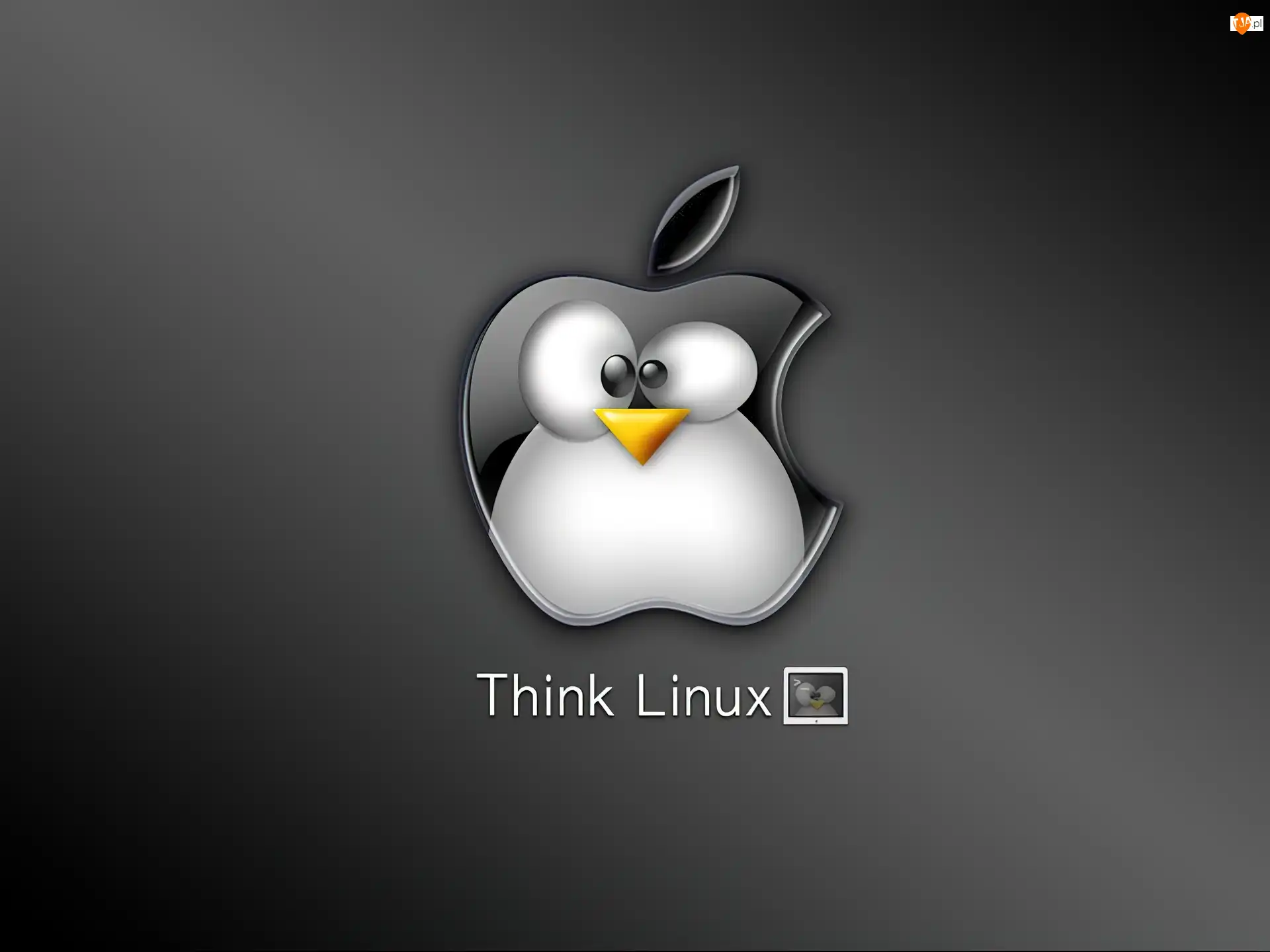 grafika, jabłko, Linux, pingwin