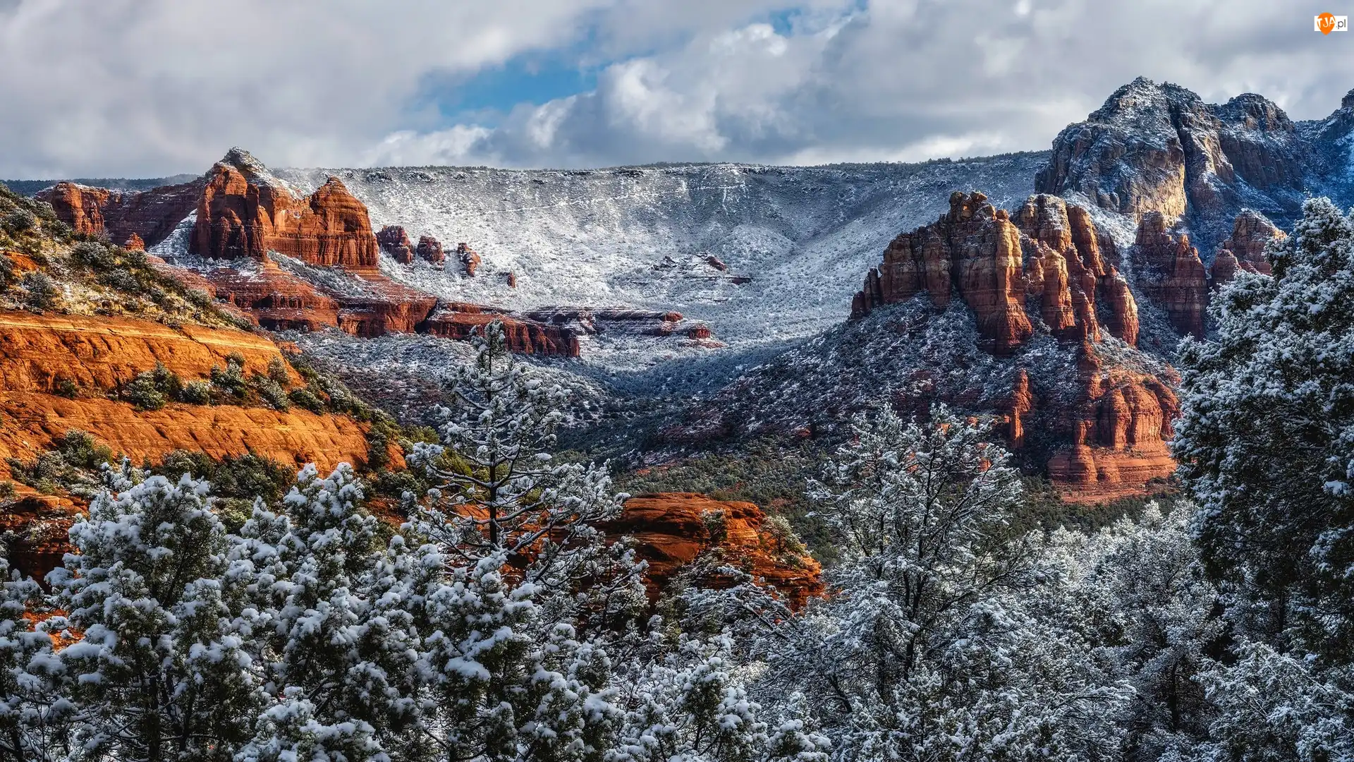 Skały, Śnieg, Stany Zjednoczone, Góry, Arizona, Sedona, Drzewa