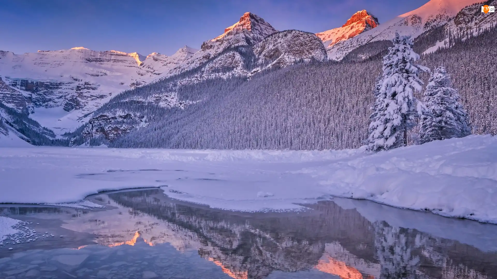 Drzewa, Jezioro, Park Narodowy Banff, Lake Louise, Góry, Alberta, Zamarznięte, Zima, Odbicie, Ośnieżone, Kanada