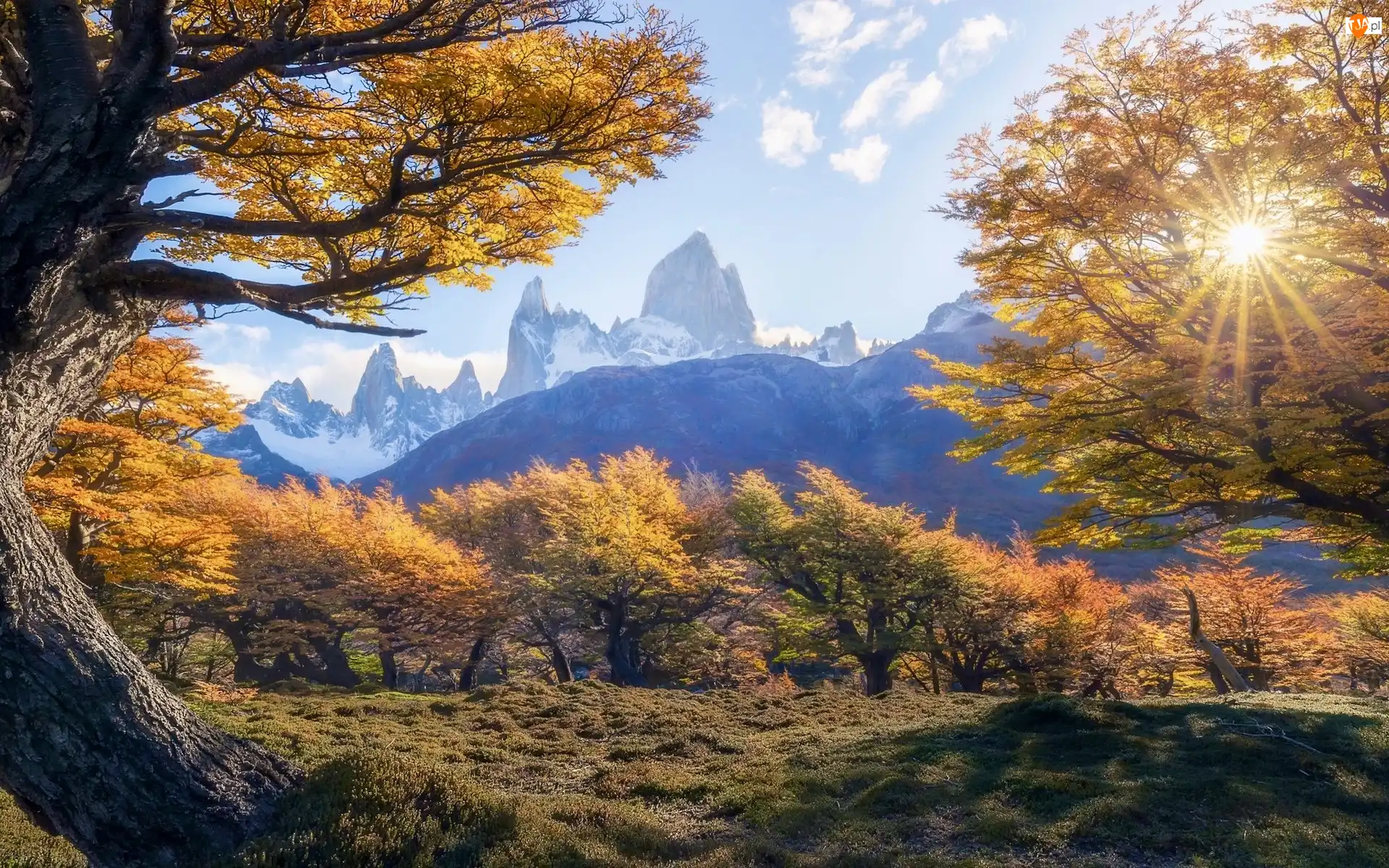 Patagonia, Góry, Promienie słońca, Argentyna, Drzewa, Jesień, Fitz Roy