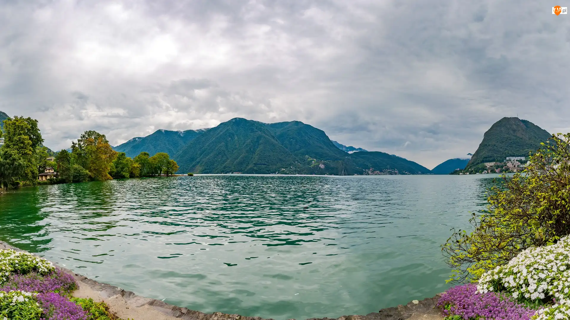 Jezioro, Szwajcaria, Drzewa, Lago di Lugano, Góry, Kwiaty, Chmury, Alpy Lugańskie