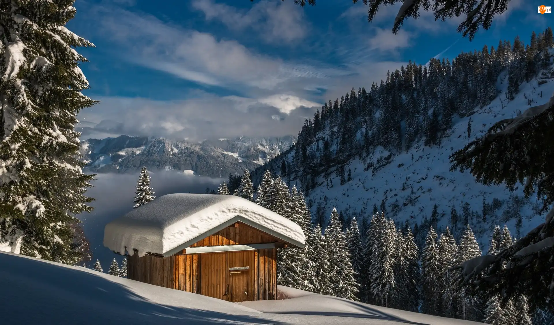 Szopa, Bawaria, Świerki, Góry, Ośnieżone, Obermaiselstein, Alpy Algawskie, Niemcy, Zima