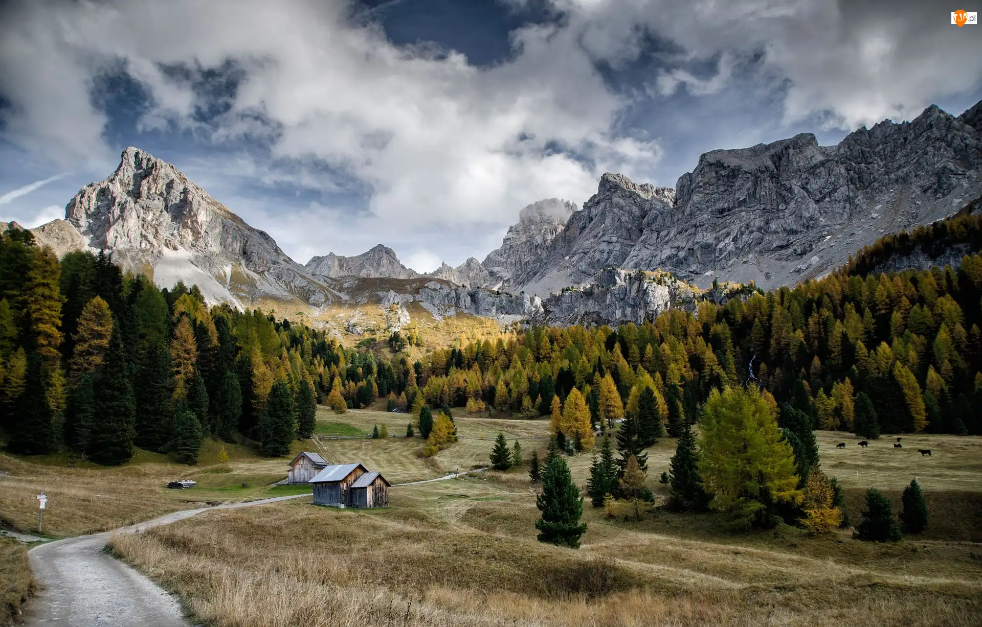 Val di Fassa, Łąki, Chmury, Domki, Dolomity, Pozza di Fassa, Drzewa, Góry, Ścieżka, Dolina Fassa, Włochy