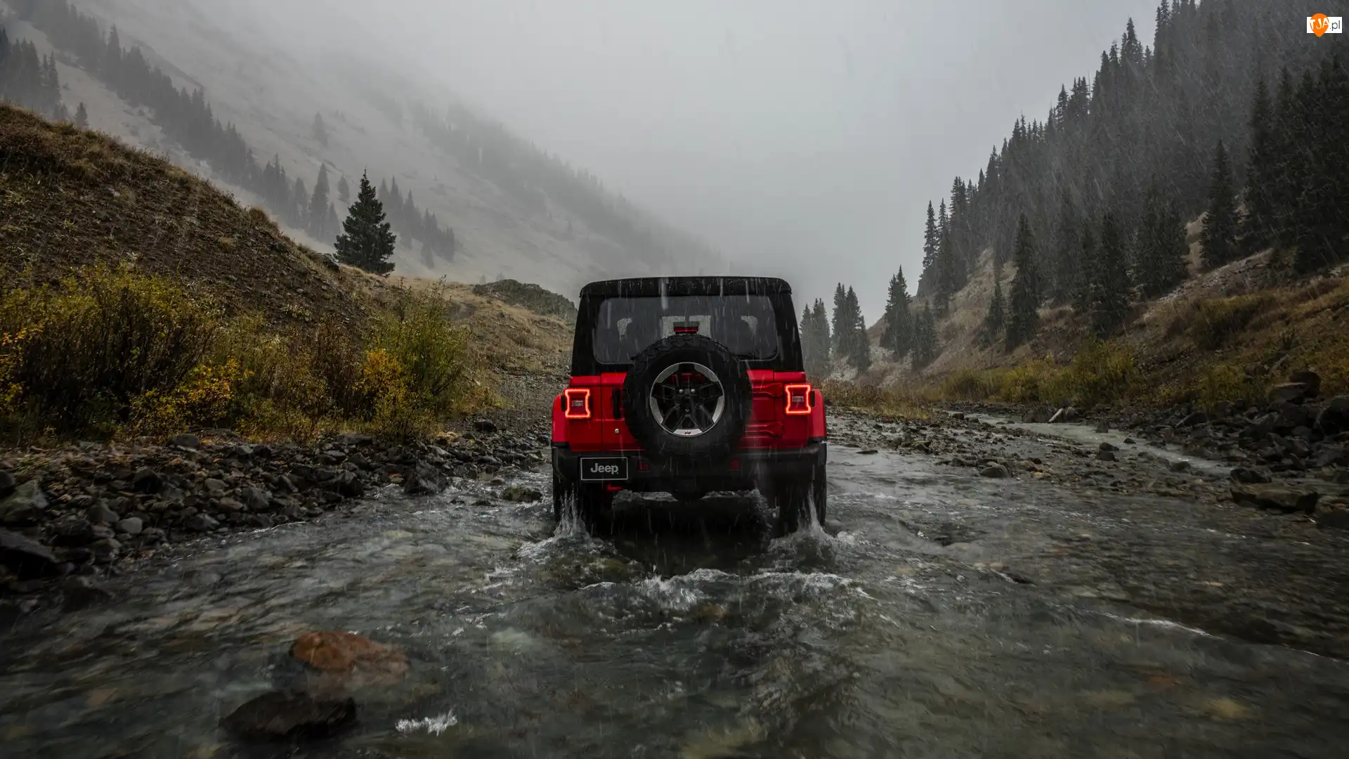 Tył, Rzeka, Jeep Wrangler Rubicon, Czerwony, Deszcz