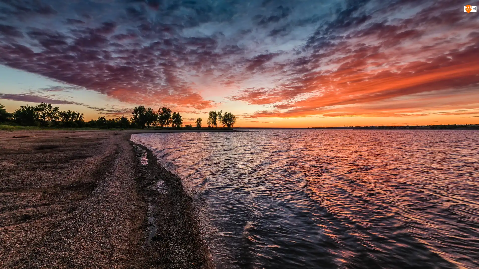 Chatfield Lake, Jezioro, Wschód słońca, Stany Zjednoczone, Drzewa, Kolorado