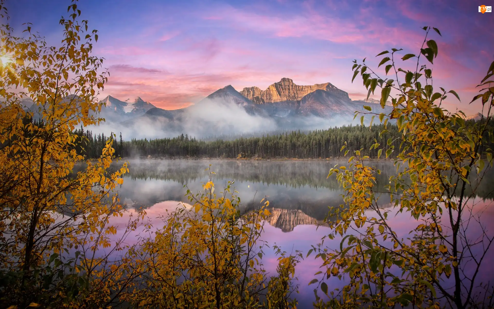 Drzewa, Park Narodowy Banff, Jesień, Herbert Lake, Mgła, Góry, Canadian Rockies, Kanada, Jezioro
