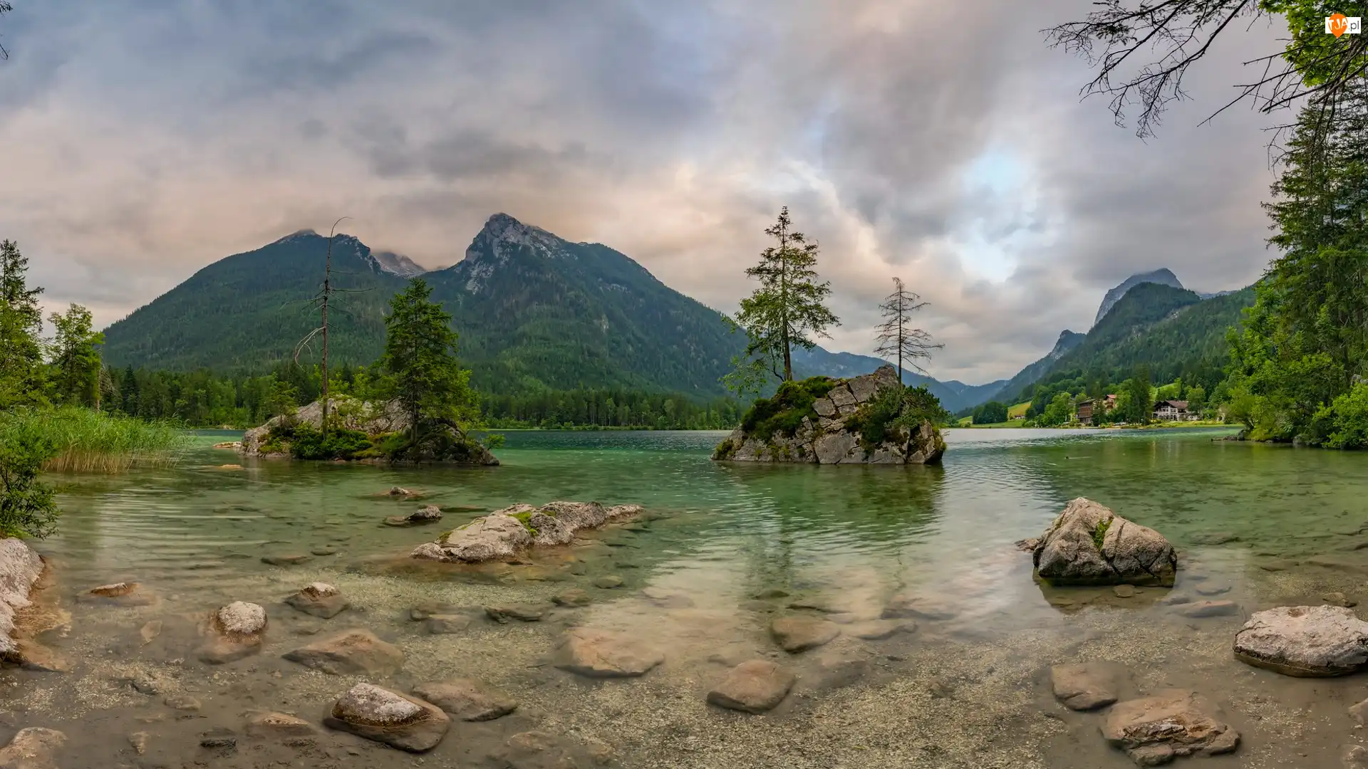Drzewa, Niemcy, Hintersee, Skały, Bawaria, Góry, Mgła, Jezioro