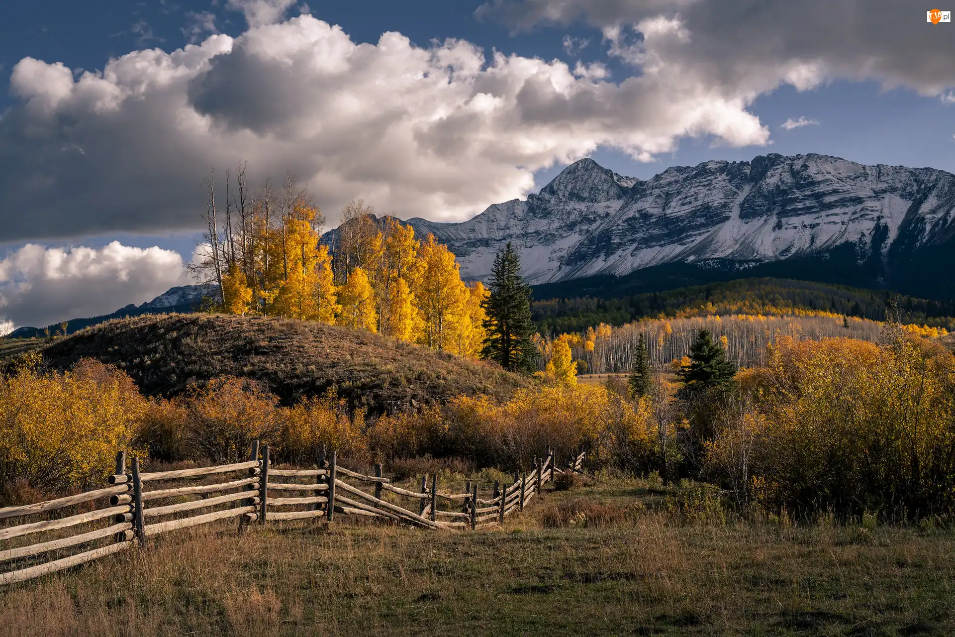 Stany Zjednoczone, Pożółkłe, Kolorado, San Juan Mountains, Chmury, Drzewa, Ogrodzenie, Jesień, Góry