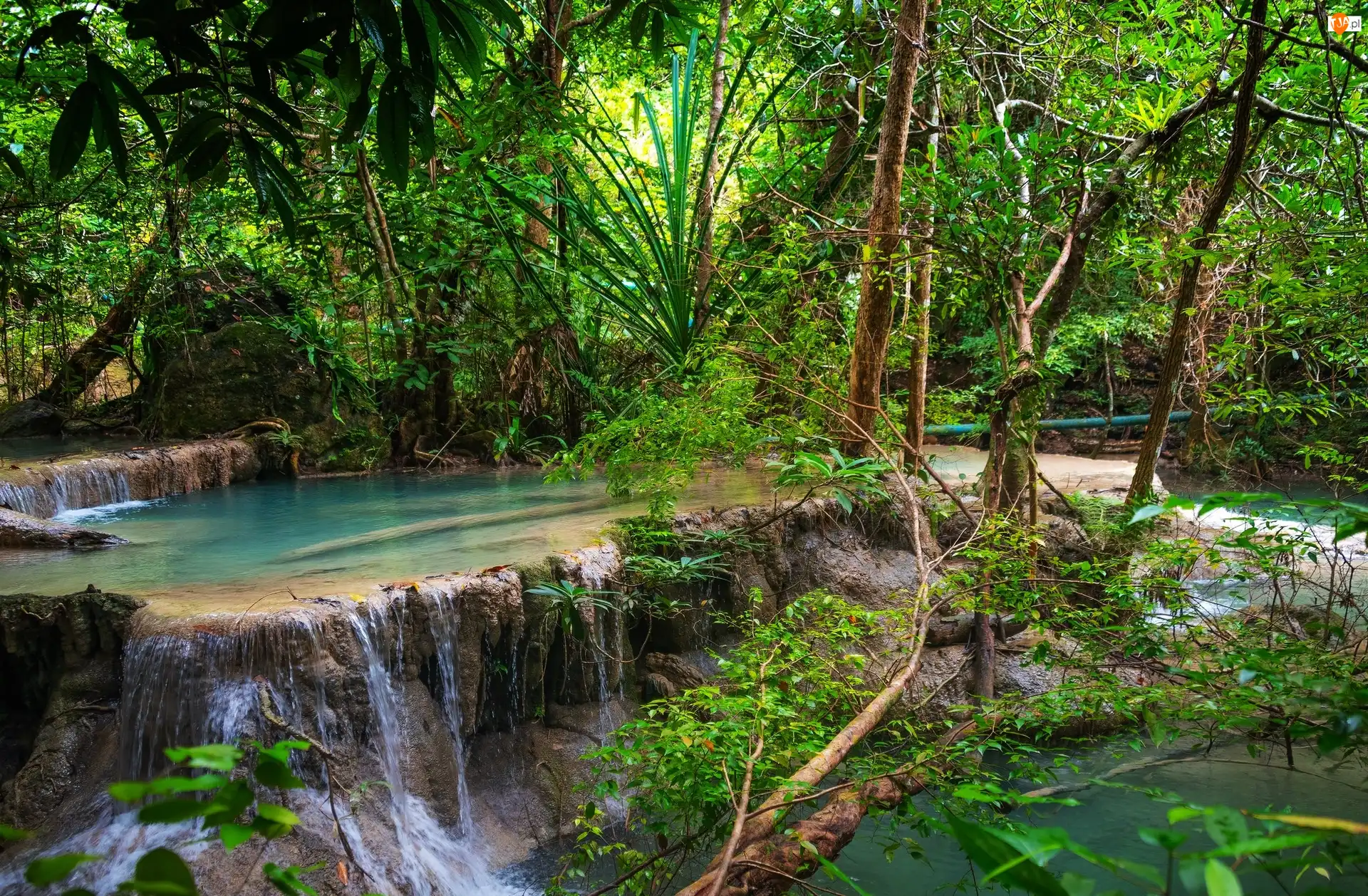 Wodospad Erawan waterfall, Drzewa, Tajlandia, Las, Prowincja Kanchanaburi, Park Narodowy Erawan, Krzewy