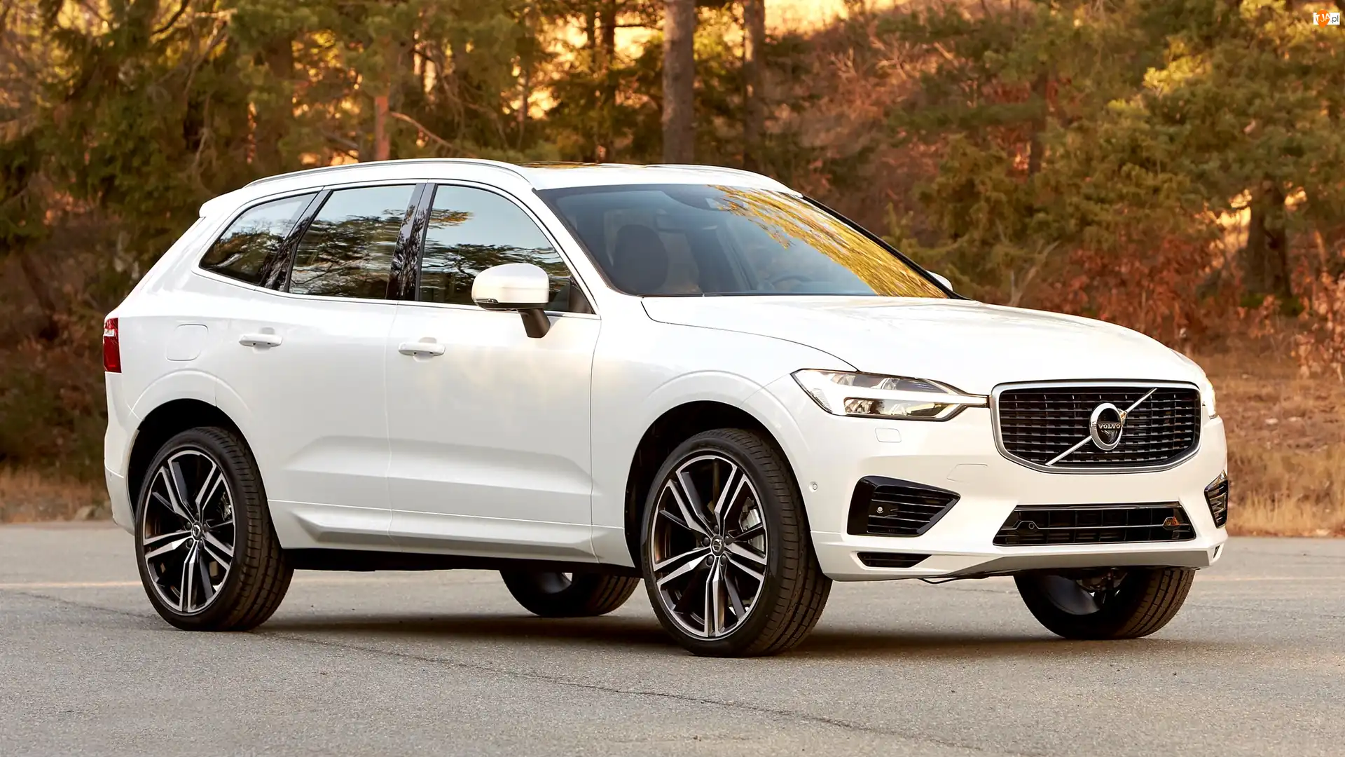 Las, Białe, Volvo XC60, 2017