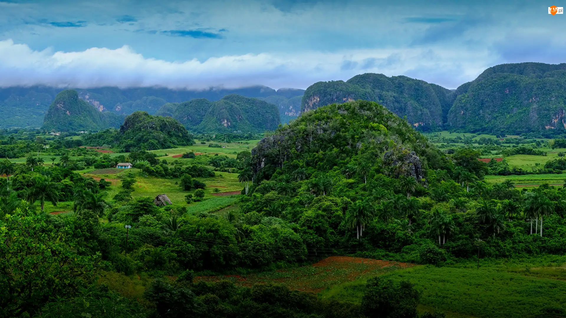 Dolina Valle de Vinales, Pasmo Sierra de los Organos, Prowincja Pinar del Rio, Kuba, Wzgórza