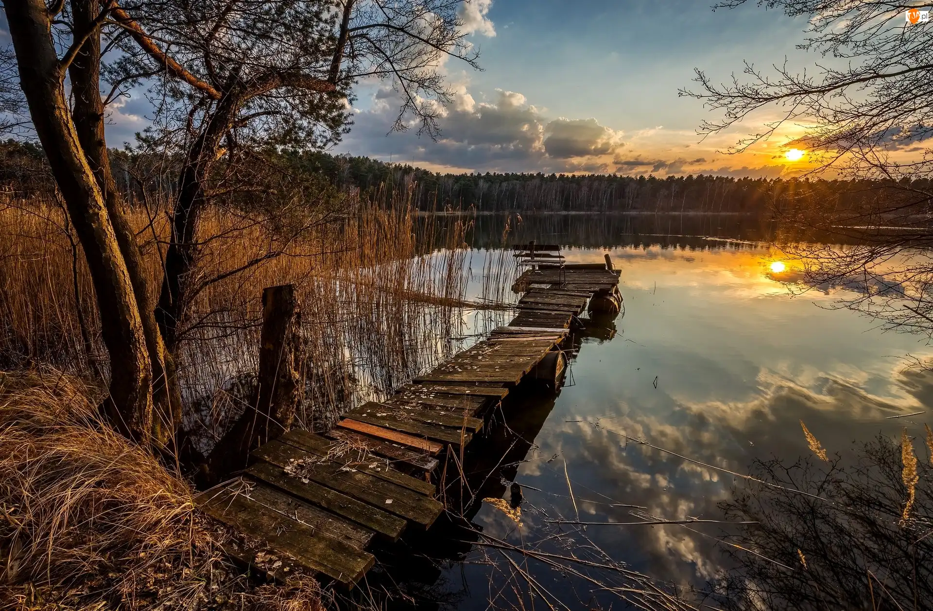 Pomost, Drzewa, Zachód Słońca, Jezioro, Szuwary