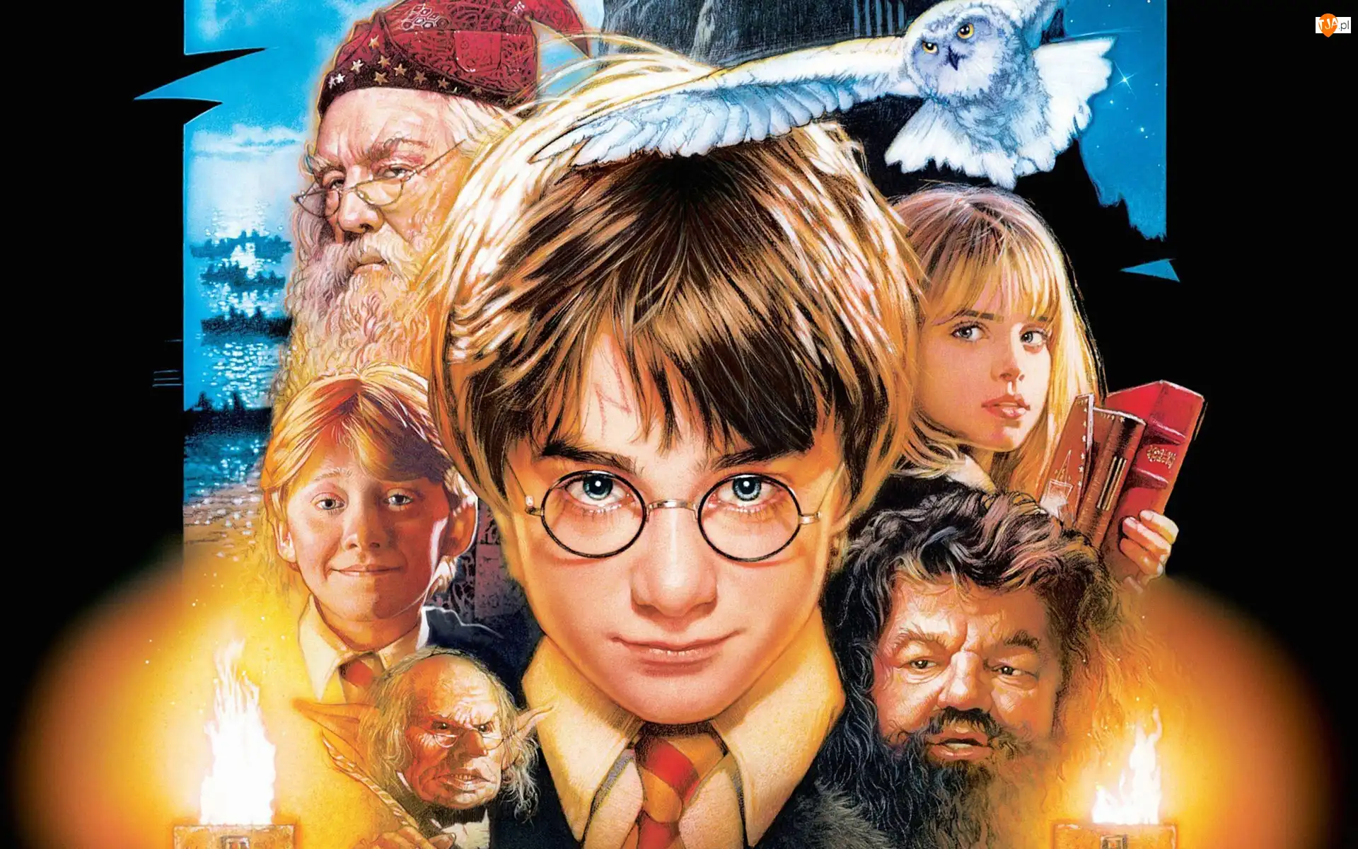 Bohaterowie, Harry, Potter