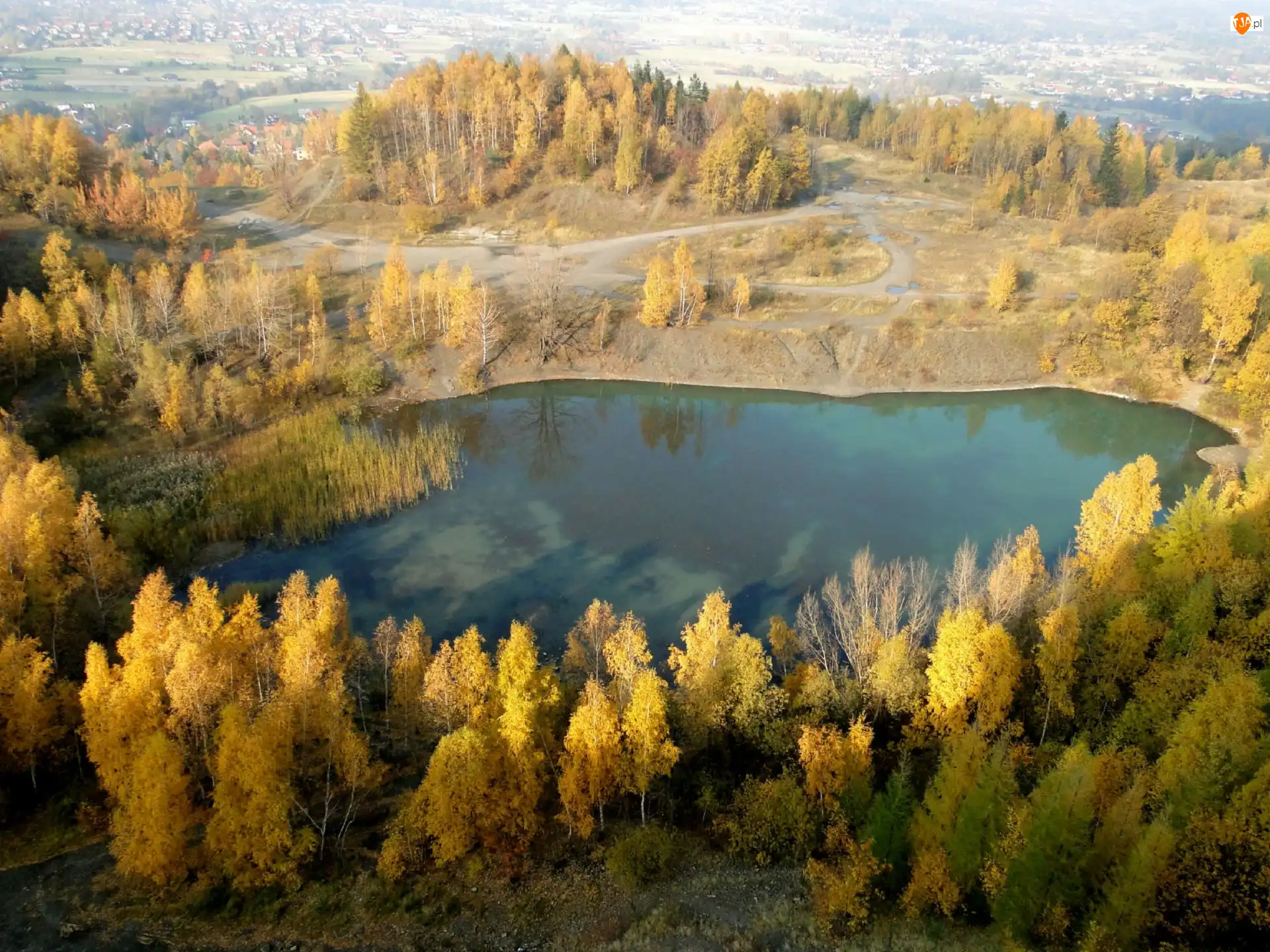 Jezioro, Jesień, Liście, Domy, Brzozy, Żółte