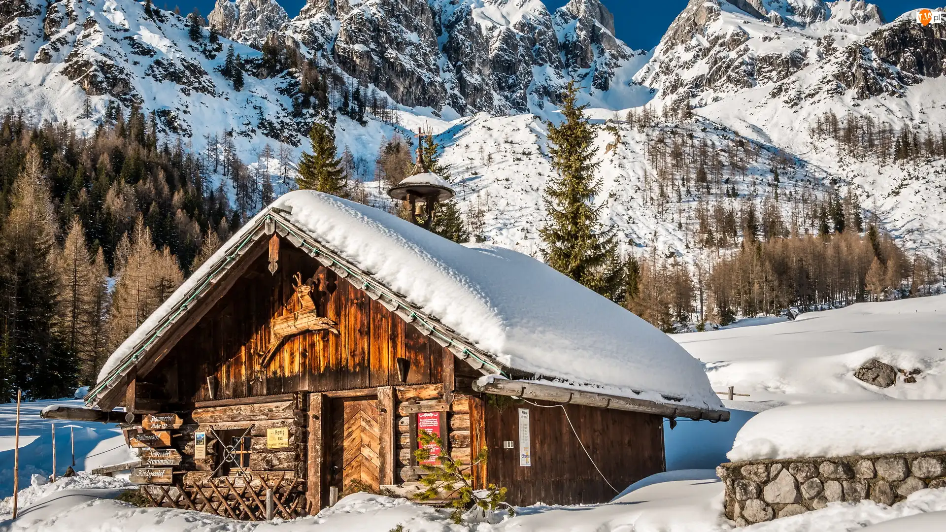 Austria, Śnieg, Ramsau am Dachstein, Góry, Alpy, Chata, Drzewa, Zima, Świerki