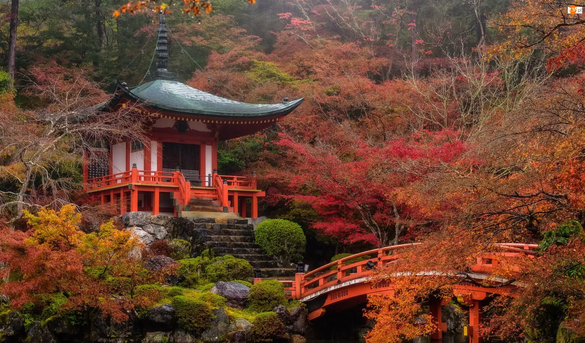 Staw, Japonia, Świątynia Benten-dō, Jesień, Kioto, Mostek, Drzewa, Kompleks świątynny Daigo-ji
