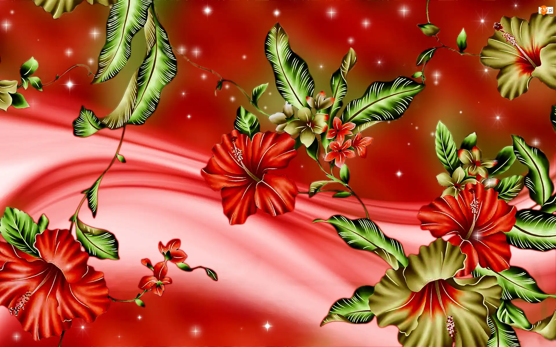 Art, Kwiaty, Hibiskus