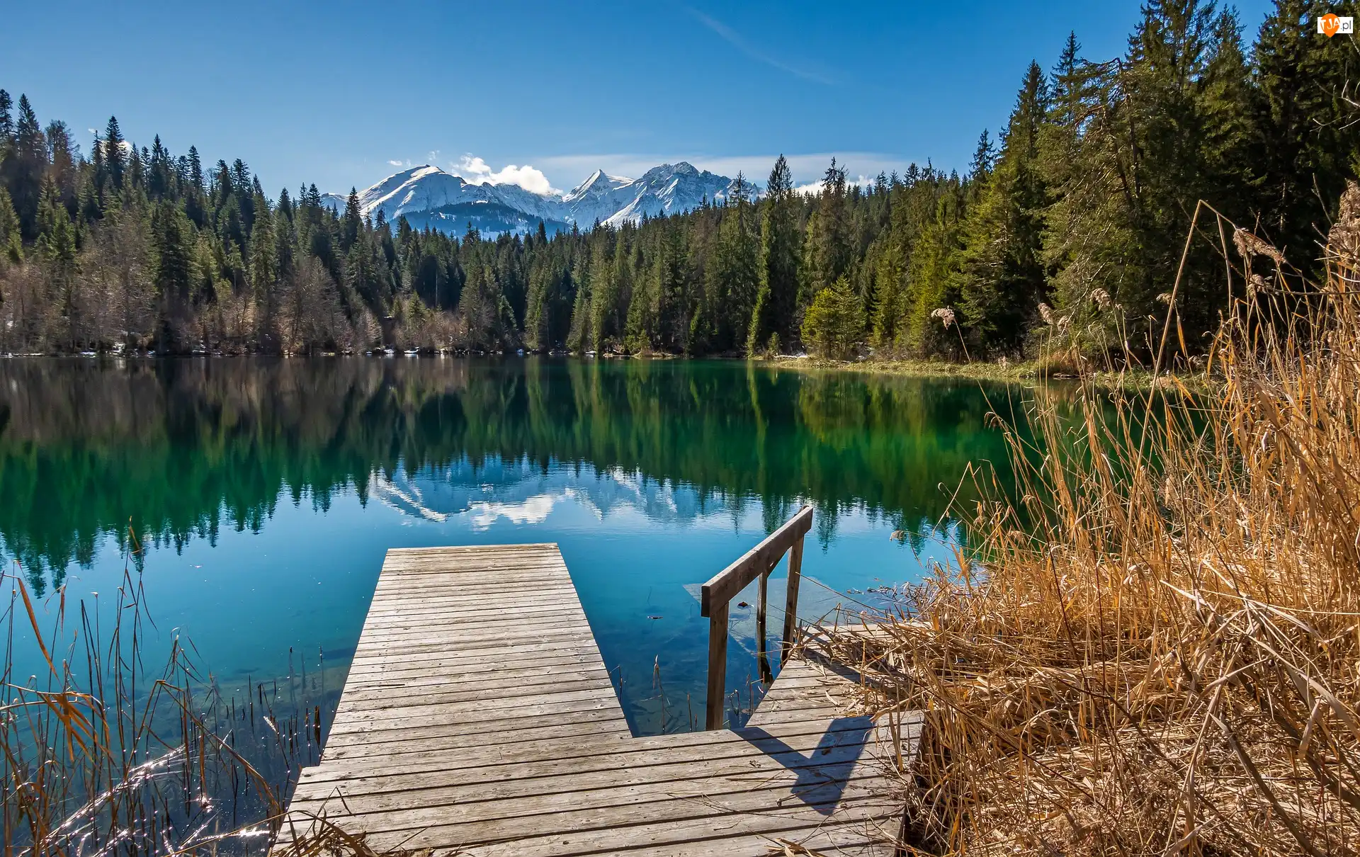 Szwajcaria, Cresta Lake, Kanton Gryzonia, Góry, Alpy, Pomost, Drzewa, Jezioro, Trzcina
