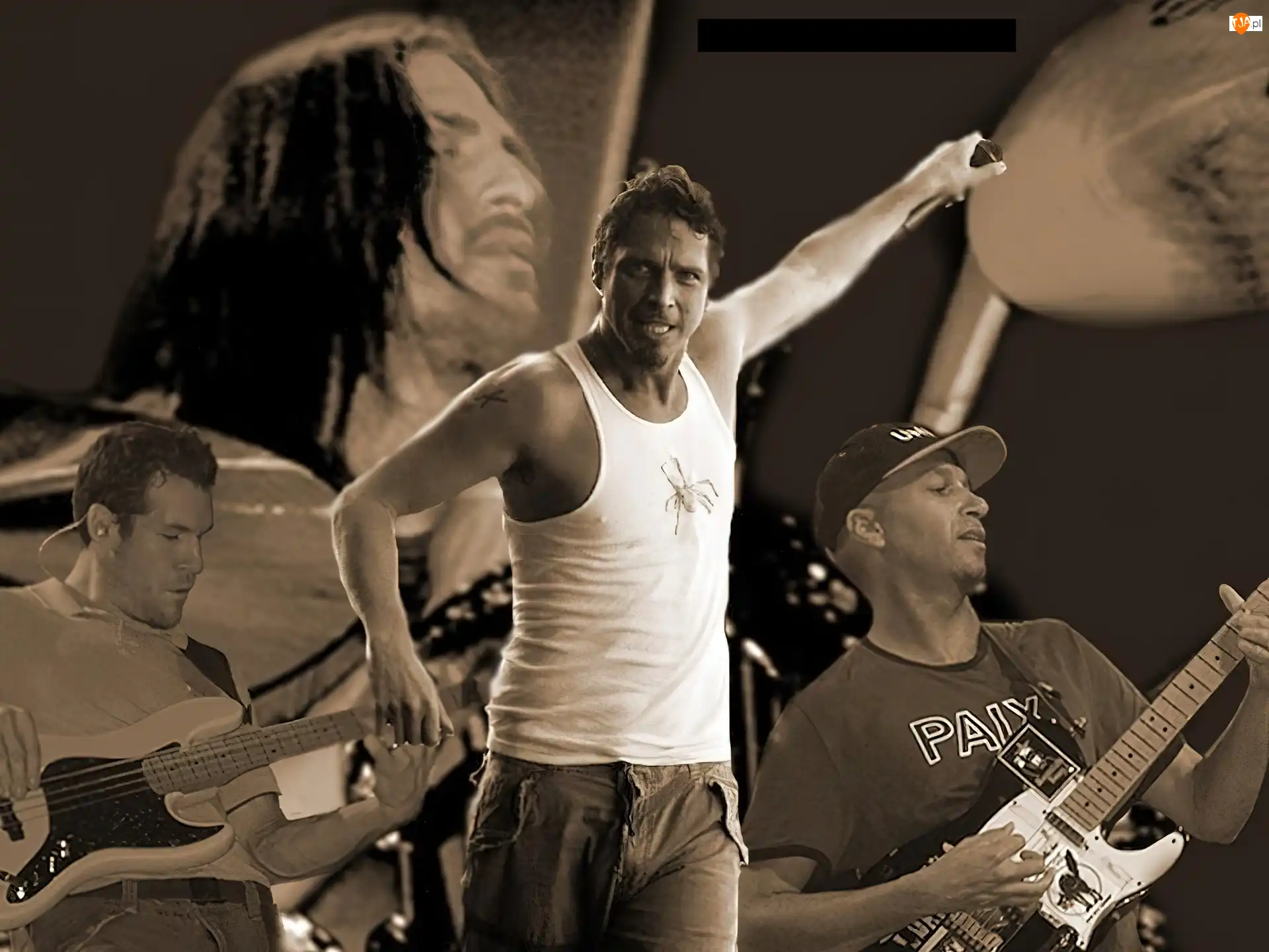 gitara, Audioslave, zespół